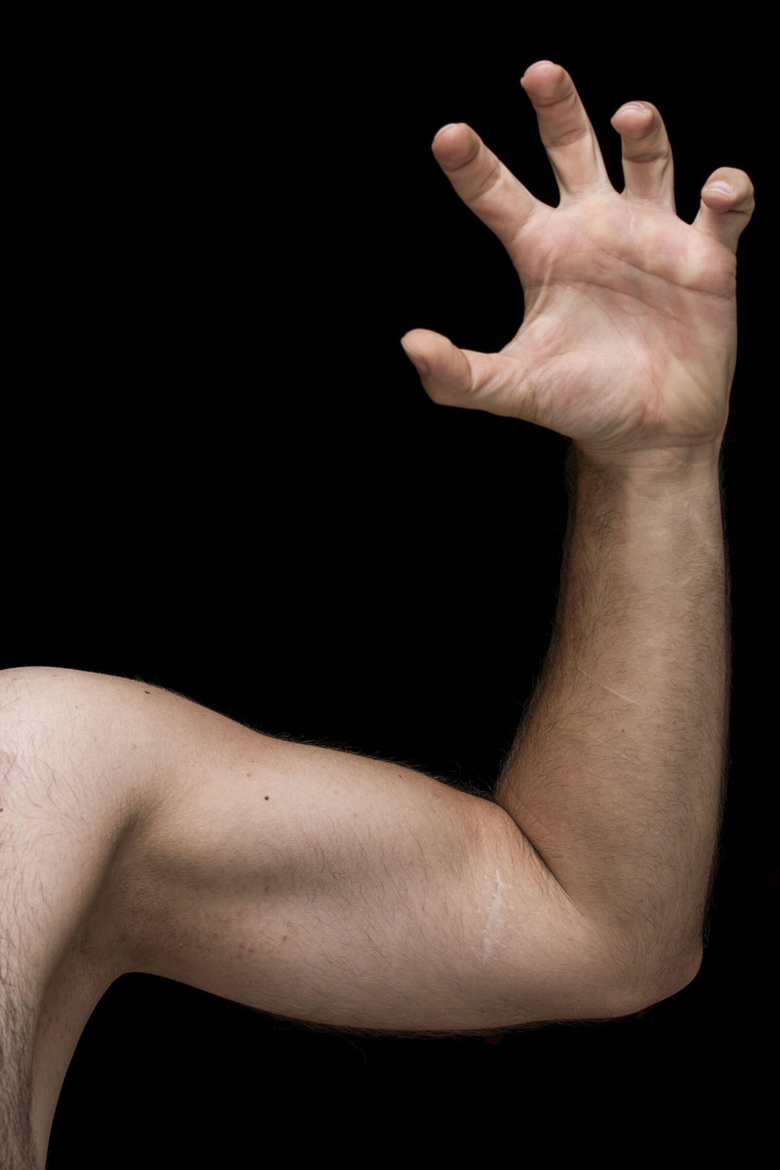 Canon EOS 40D sample photo. Male, arm, nov photography
