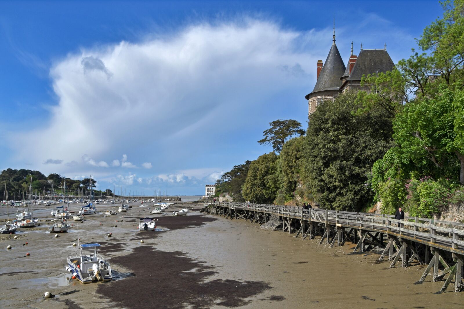 Nikon D500 sample photo. Marina, low tide, castle photography