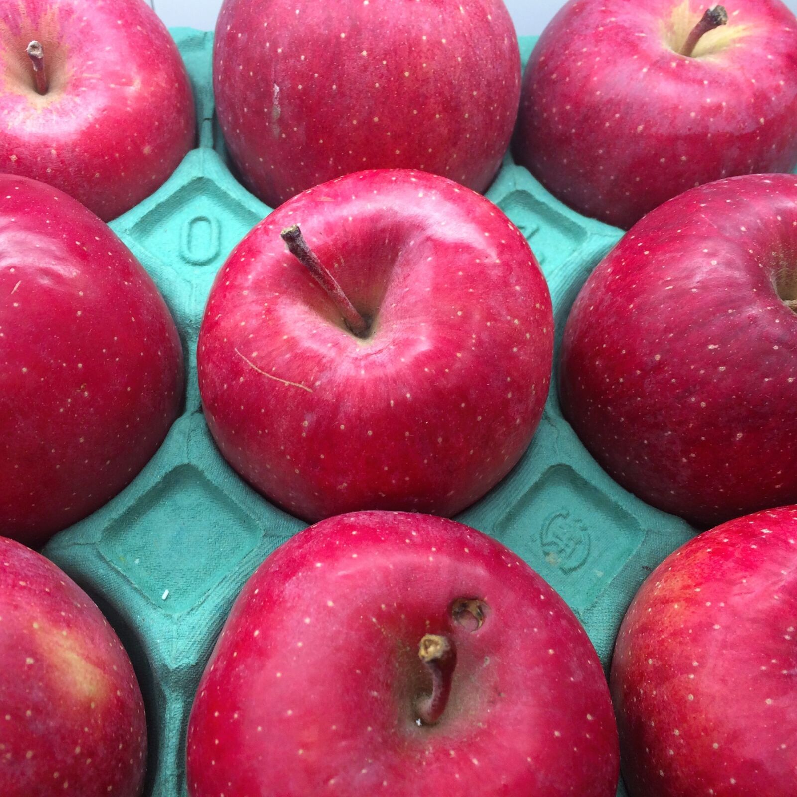 iPhone 5s back camera 4.15mm f/2.2 sample photo. Red, ringo, apple photography