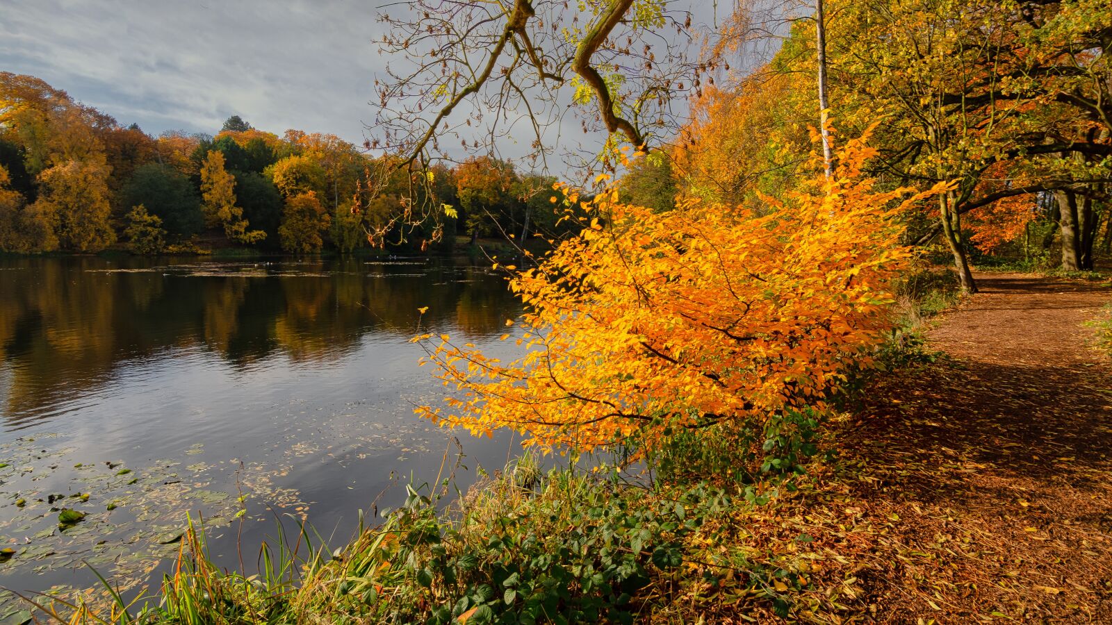 Nikon D7100 sample photo. Lake, autumn, fall photography