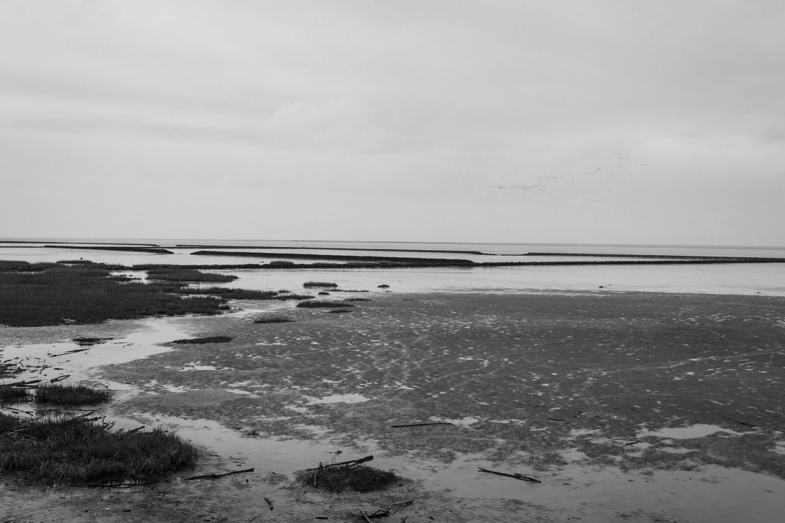 Canon EOS 70D sample photo. North, north sea, water photography