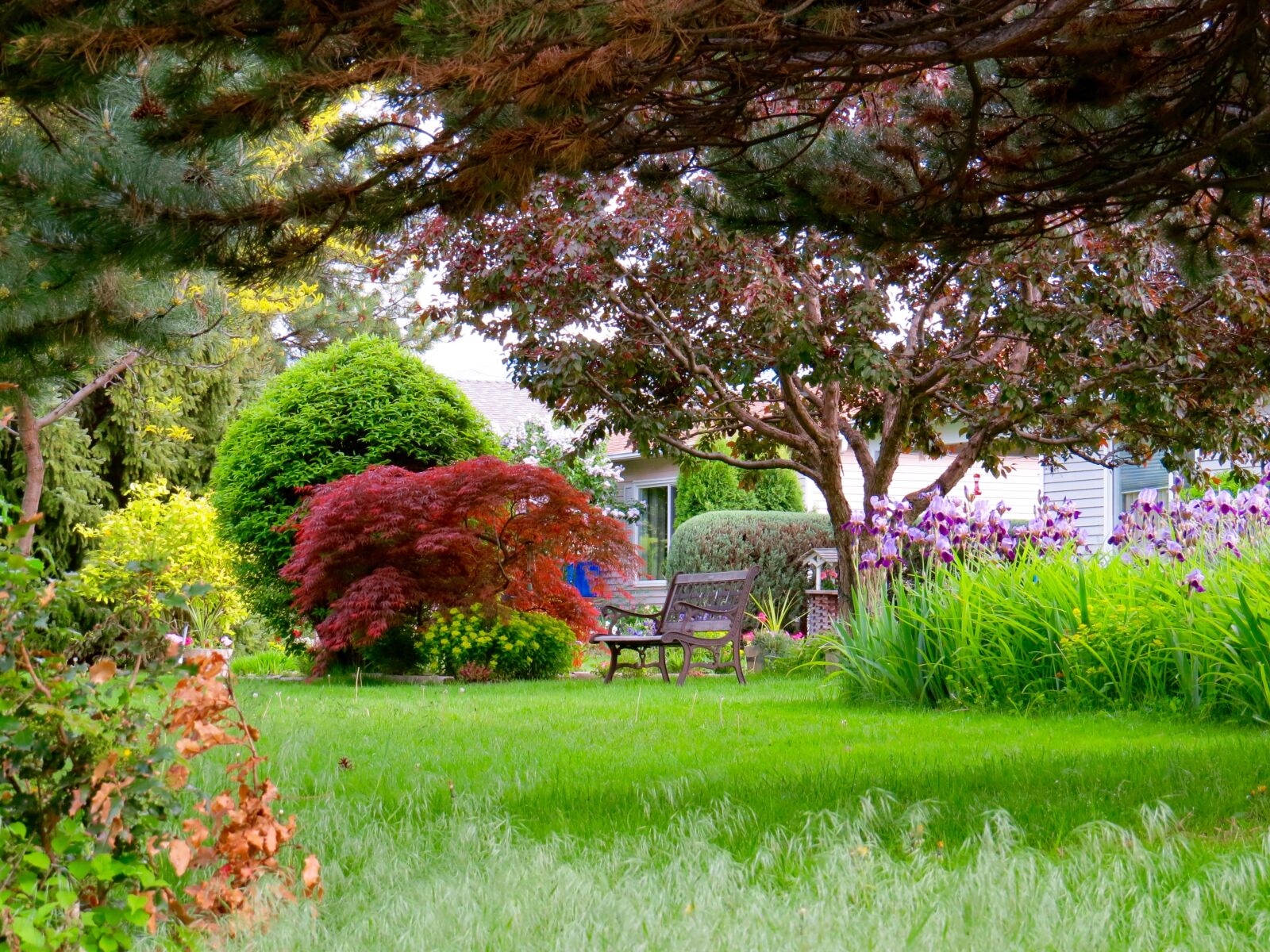 Canon PowerShot SX50 HS sample photo