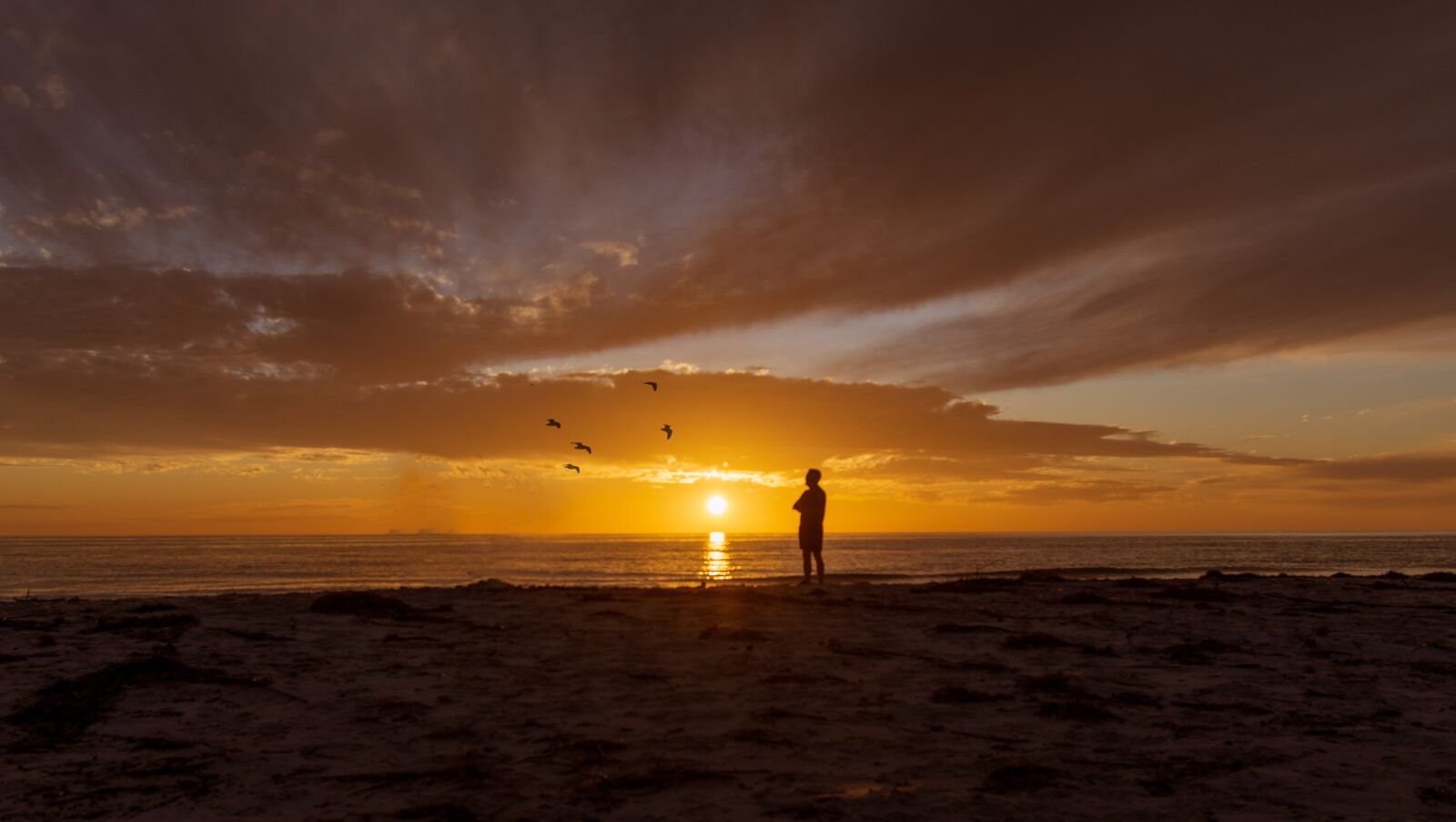 Nikon D5600 sample photo. Sunset, beach, sky photography