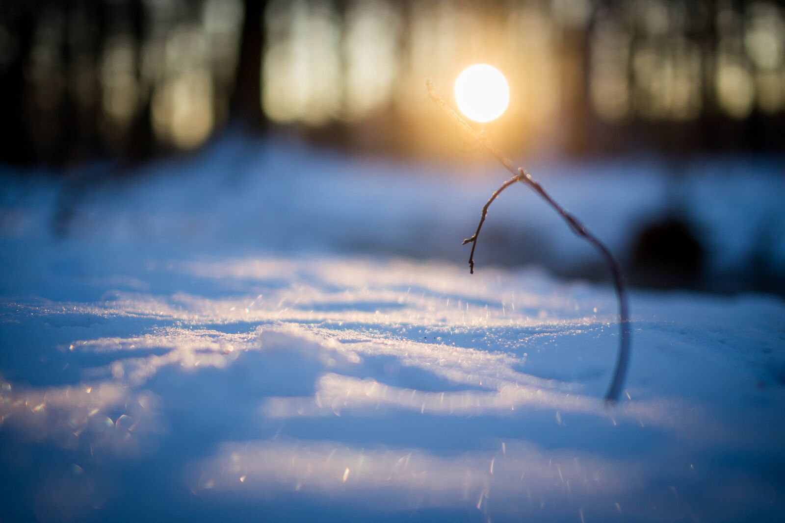 Canon EOS 6D sample photo. Wintry, snow, sunrise photography