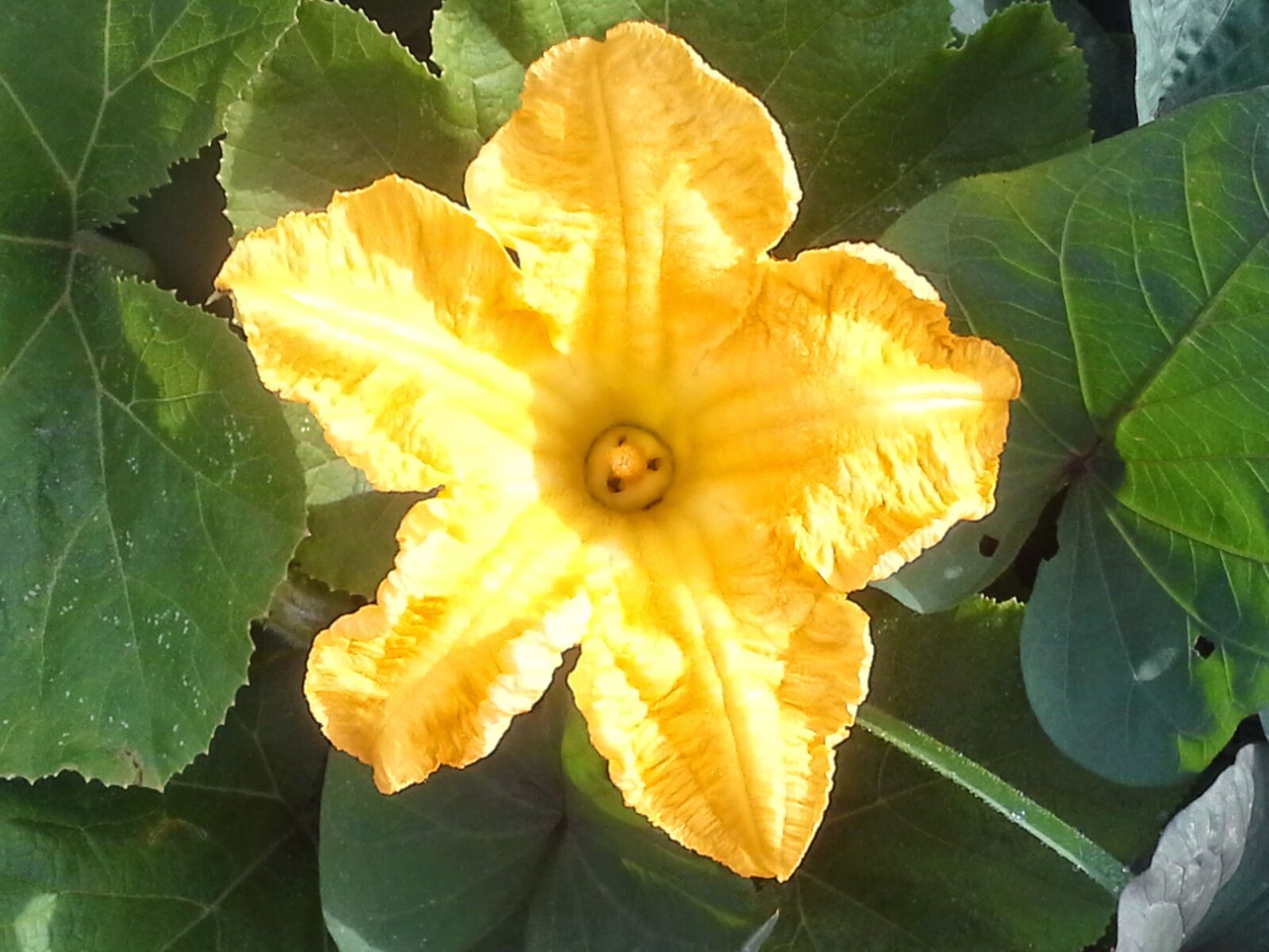 Samsung Galaxy Note 10.1 sample photo