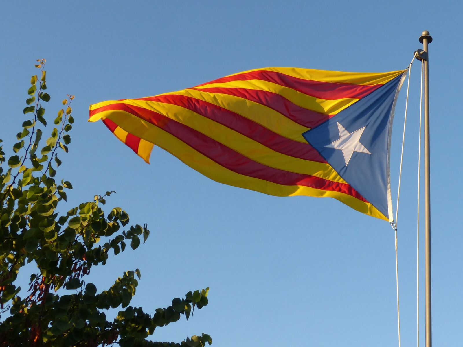 Panasonic DMC-FZ62 sample photo. Flag, senyera, catalan flag photography