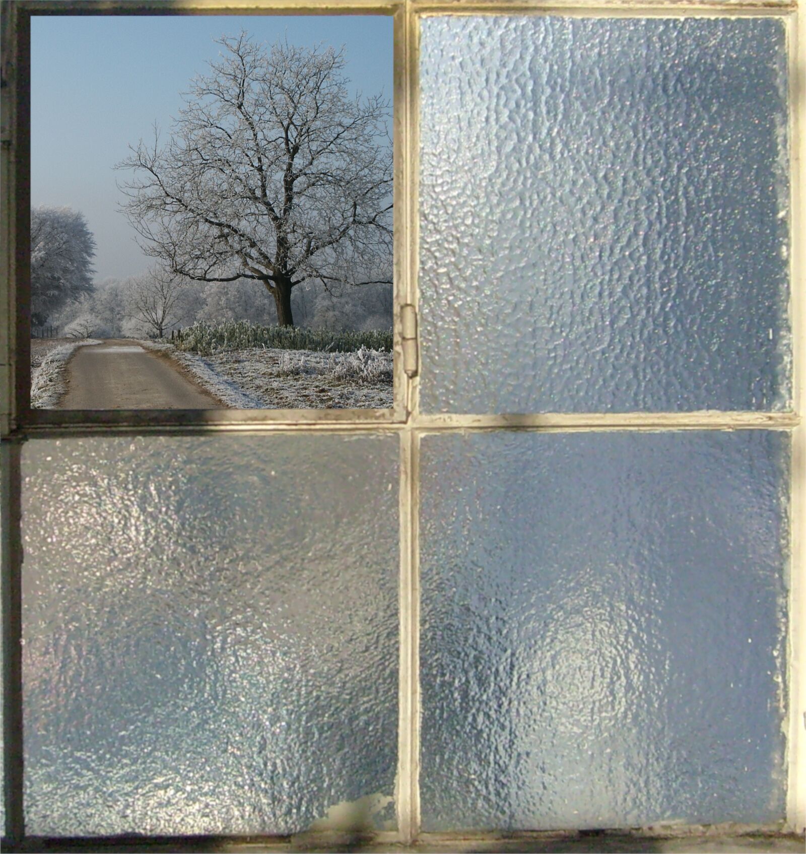 Samsung D70 / D75 / S730 / S750 sample photo. Reflection, by looking, window photography