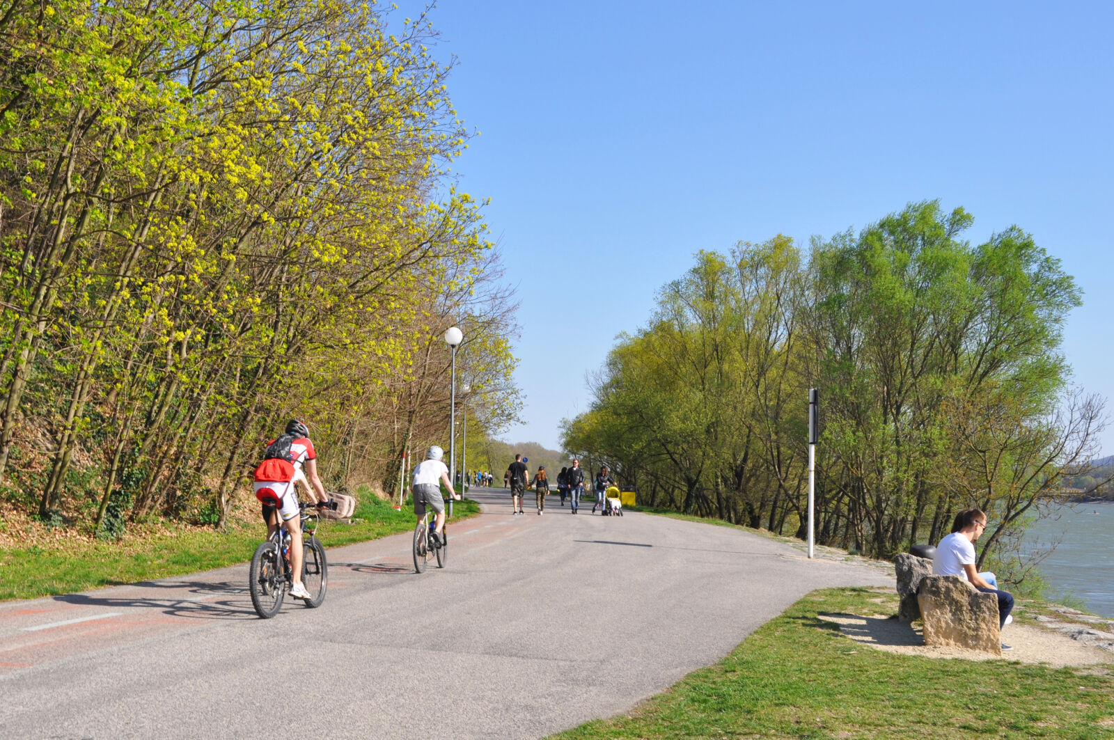 Nikon D90 sample photo. Bench, bicycle, bike, racing photography