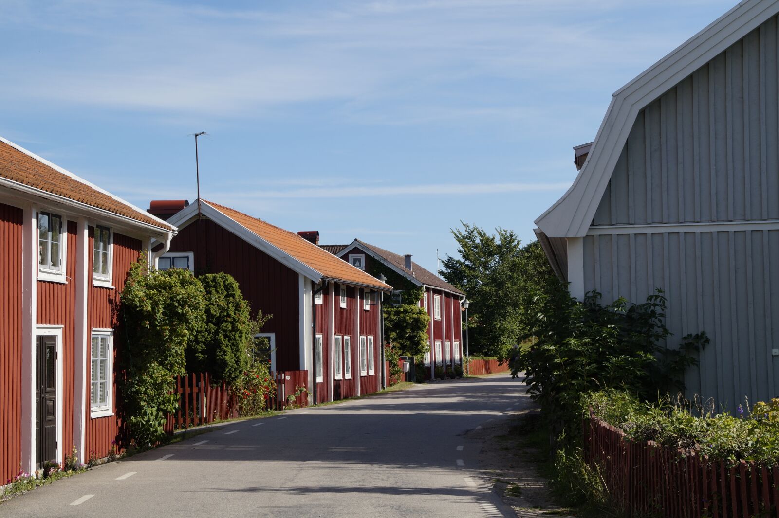 Sony SLT-A58 sample photo. Kristian opel, sweden, sweden photography
