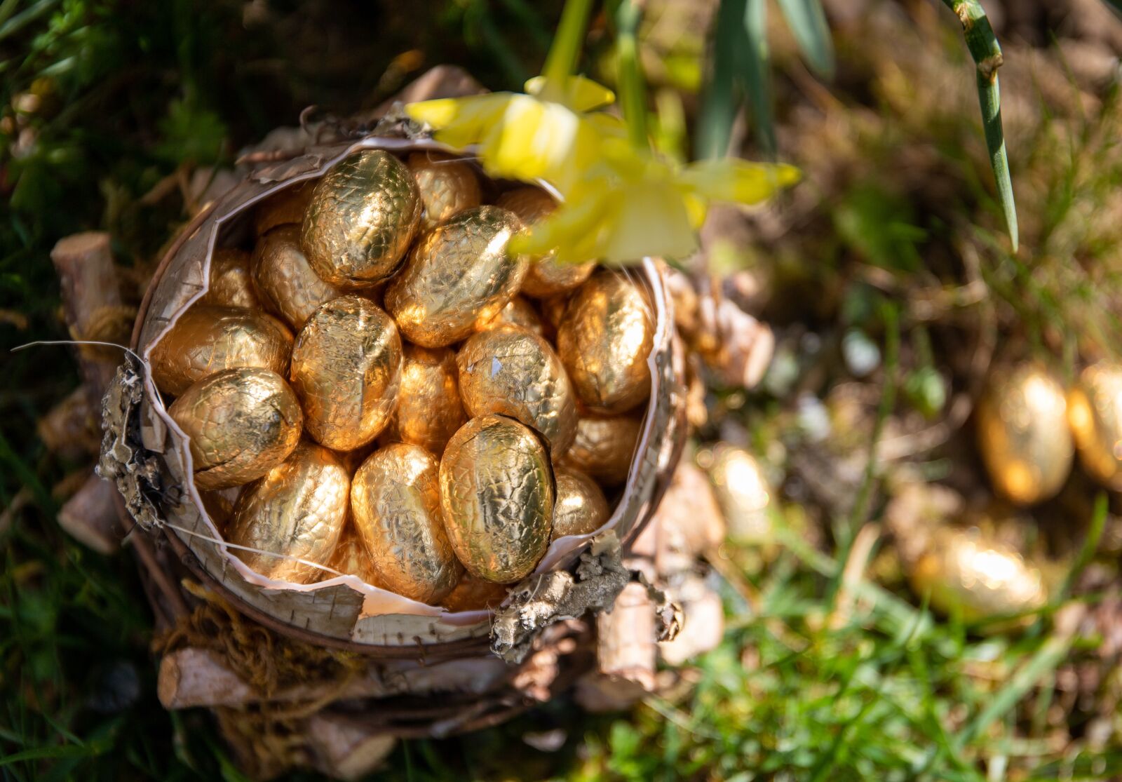 Canon EF 24-70mm F4L IS USM sample photo. Easter, eggs, chocolate photography