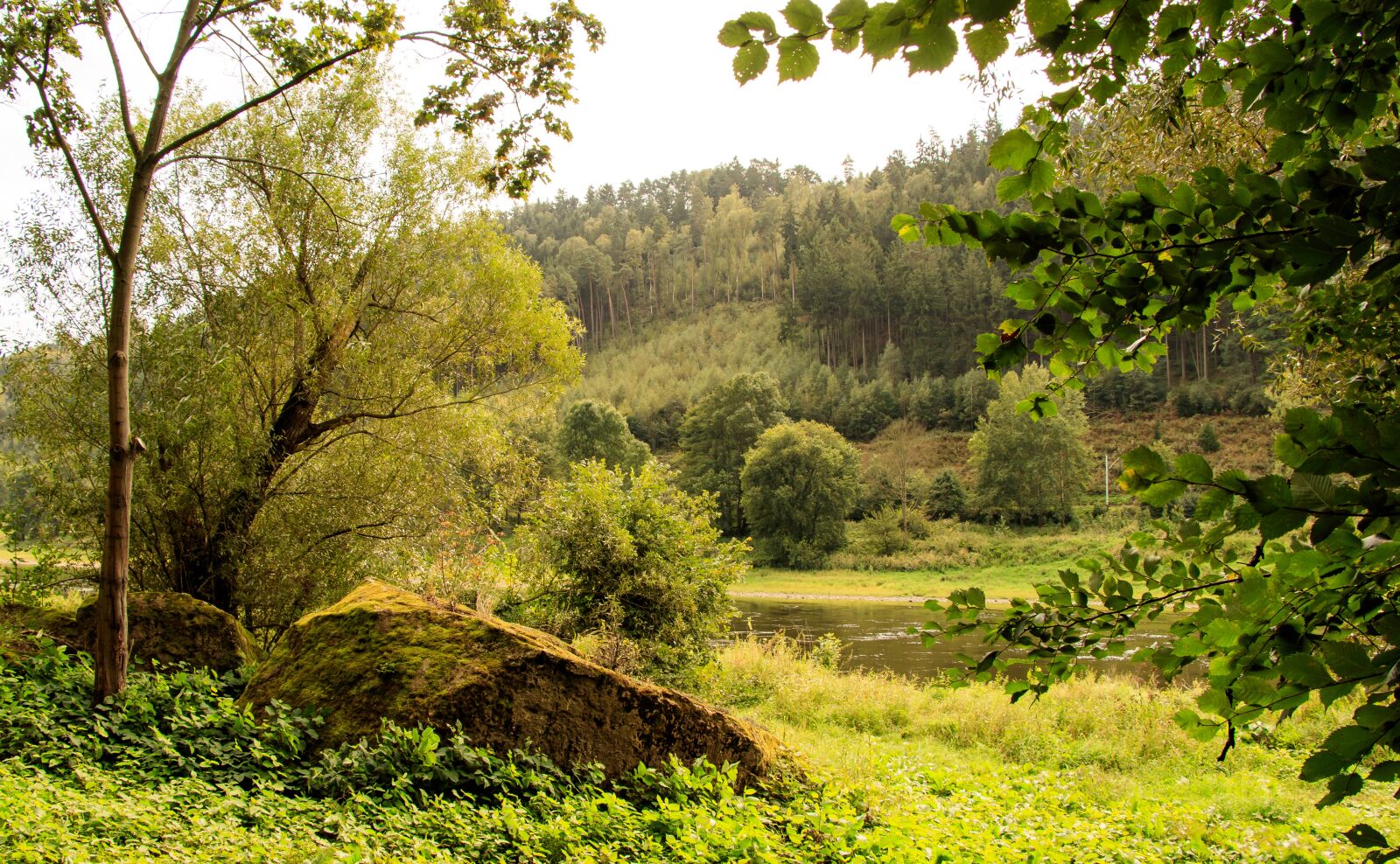 Canon EOS 80D sample photo. Elbe, elbe valley, nature photography