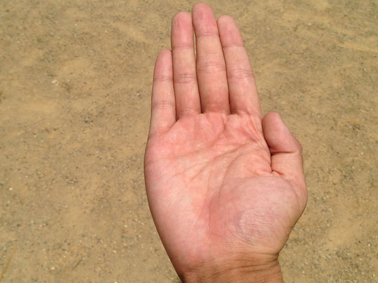 iPhone 5 back camera 4.12mm f/2.4 sample photo. Palm, hand, finger photography