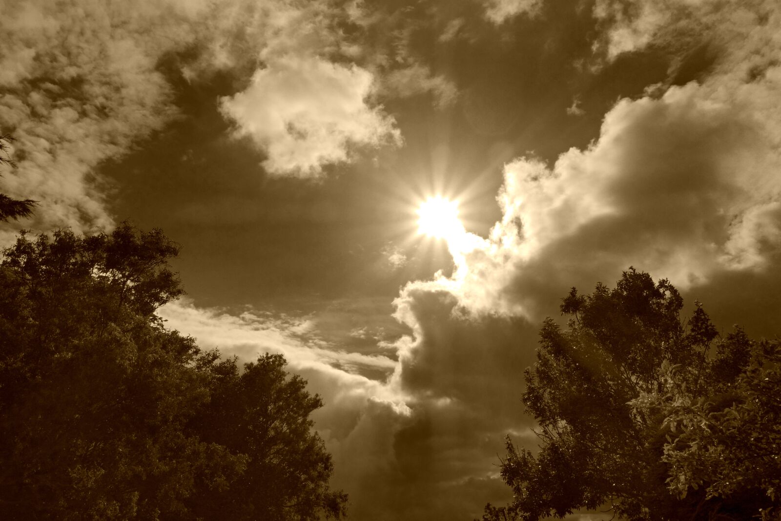 Sony Cyber-shot DSC-RX100 sample photo. Clouds, cumulus, sky photography