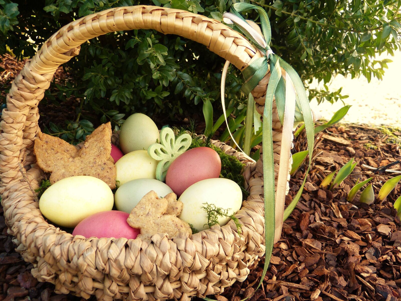 Panasonic Lumix DMC-FZ150 sample photo. Easter nest, easter eggs photography
