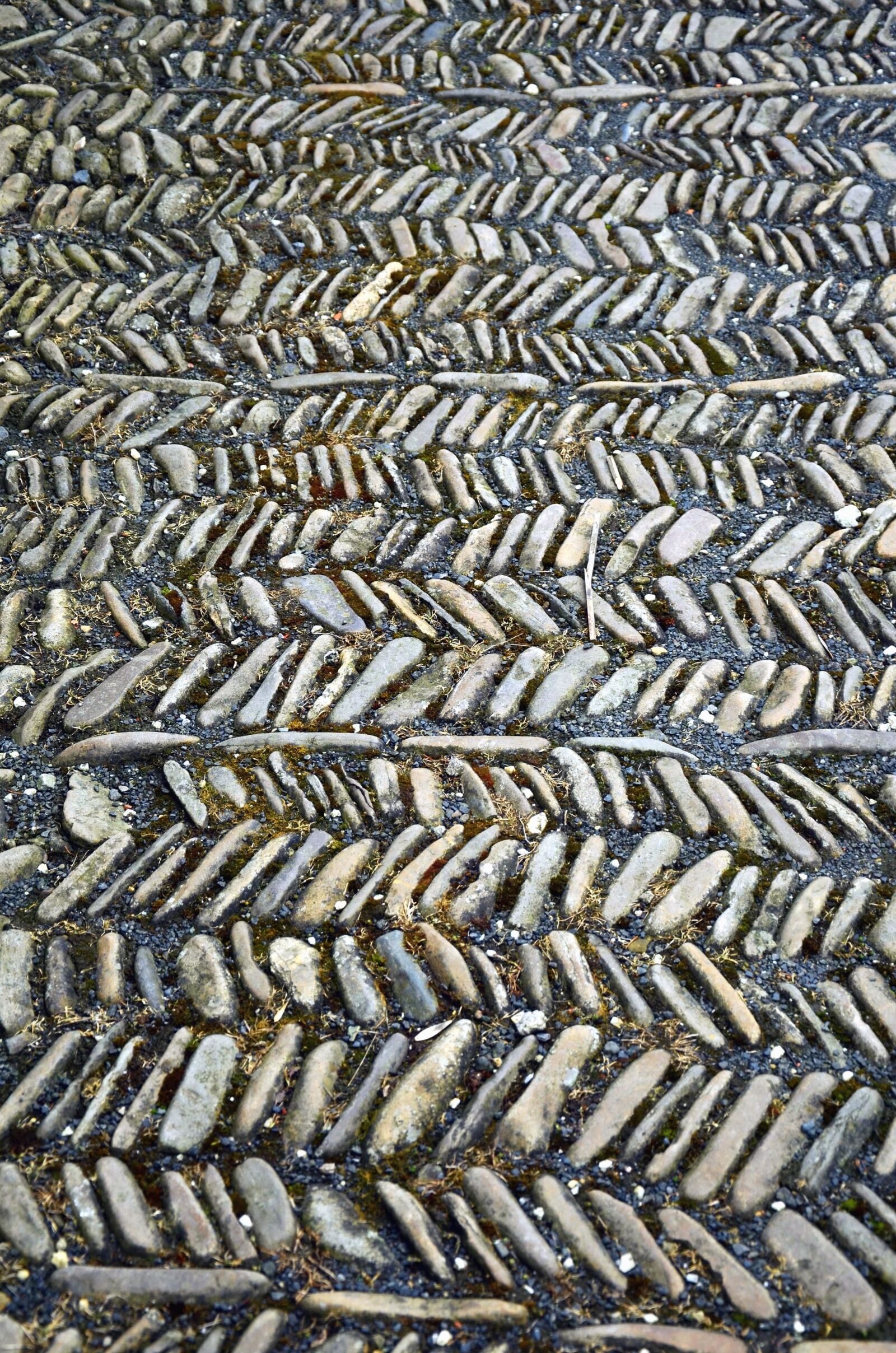 Nikon D5100 sample photo. Pavement, road, stone, texture photography