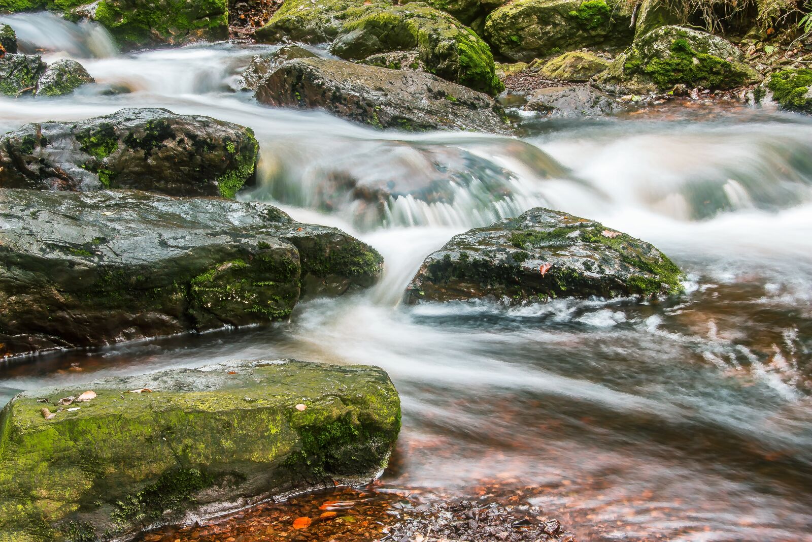 Canon EOS 650D (EOS Rebel T4i / EOS Kiss X6i) sample photo. River, bach, water photography