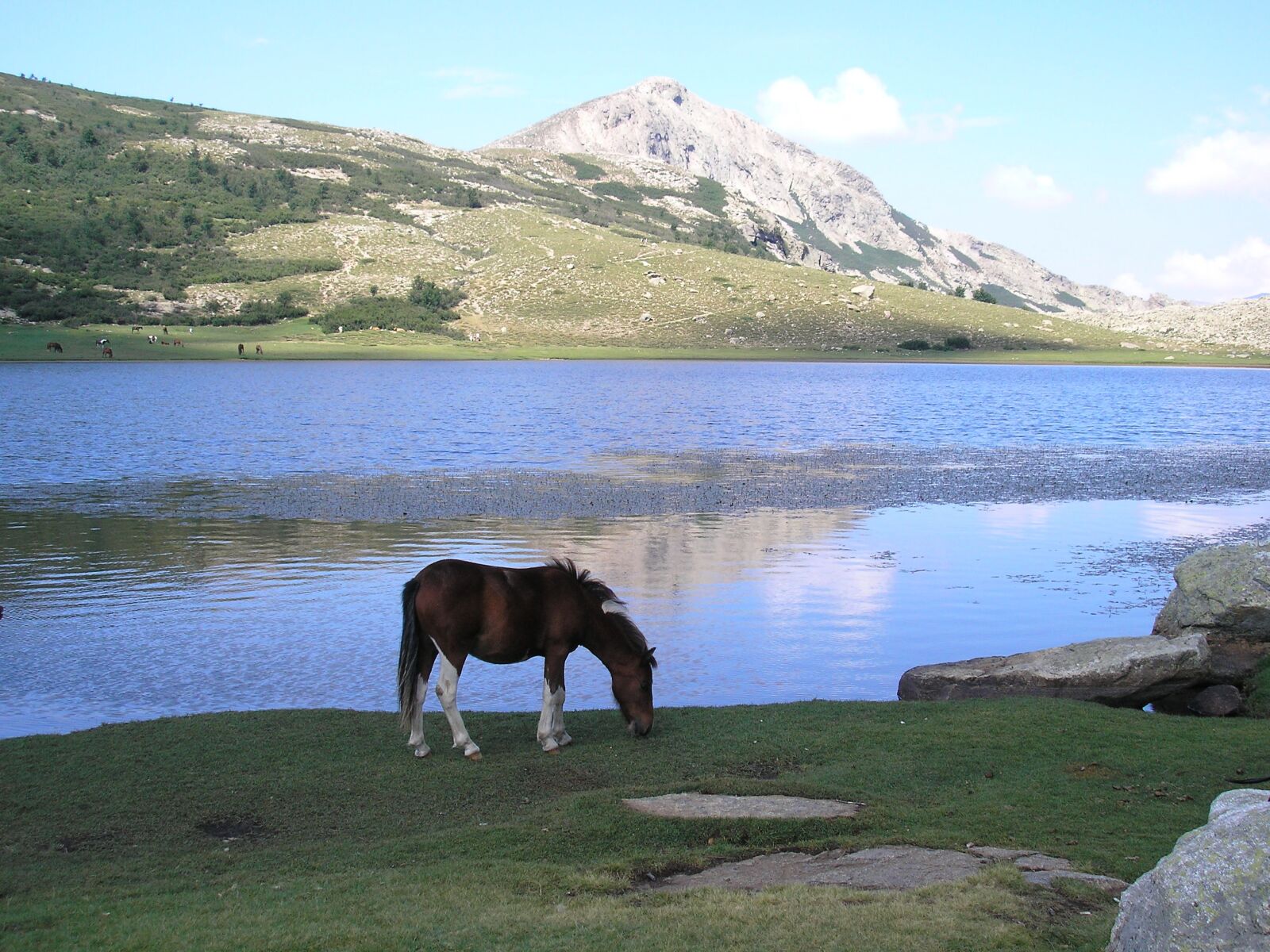 Olympus FE-120,X-700 sample photo. Lake, corsican, mountain photography