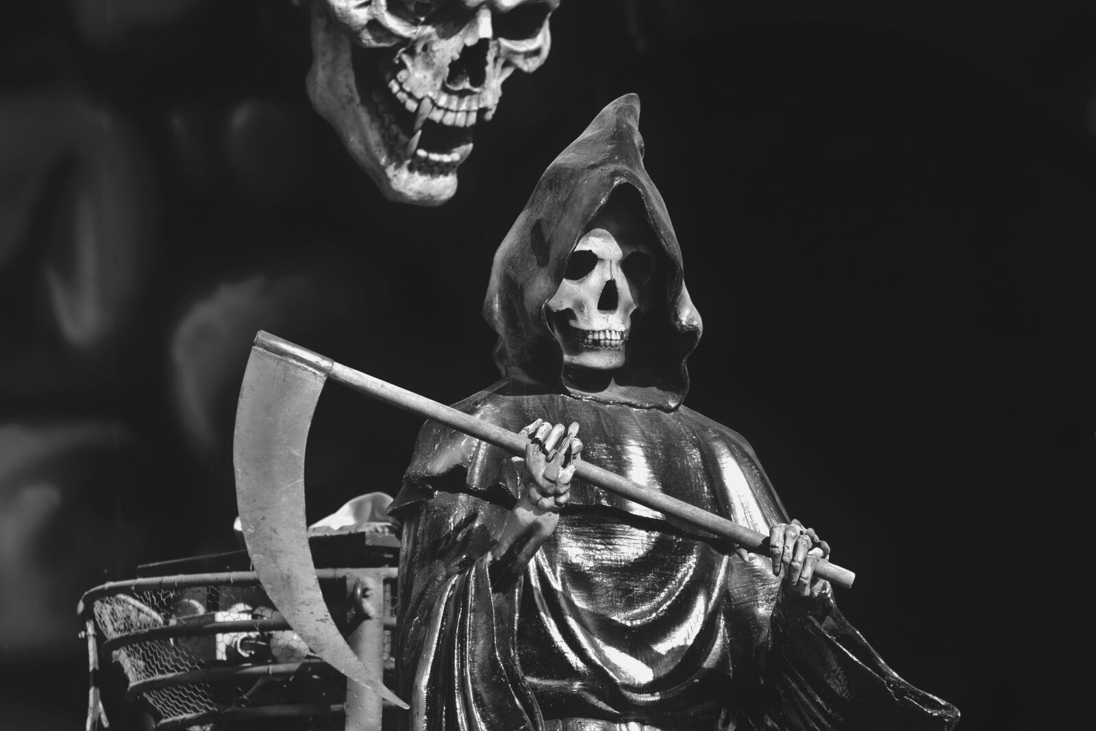 Nikon D7200 sample photo. Halloween, skeleton, skull photography
