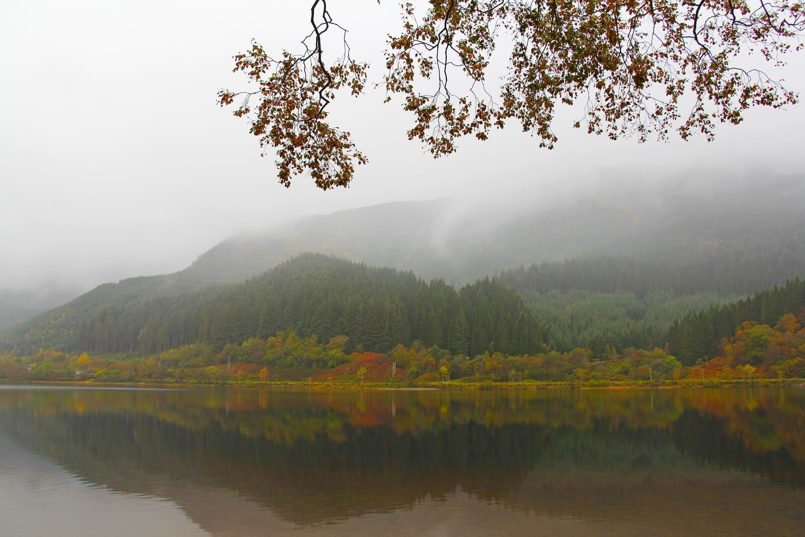 Canon EF-S 18-200mm F3.5-5.6 IS sample photo. Mystical, mysterious, beautiful photography