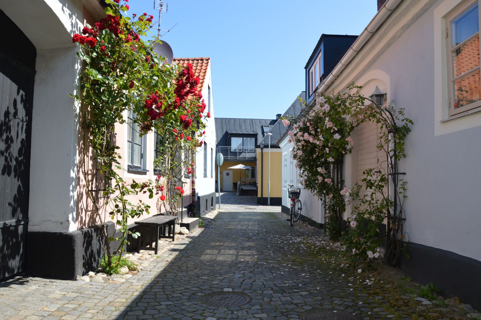 Nikon D3200 sample photo. Simrishamn, skåne, sweden photography