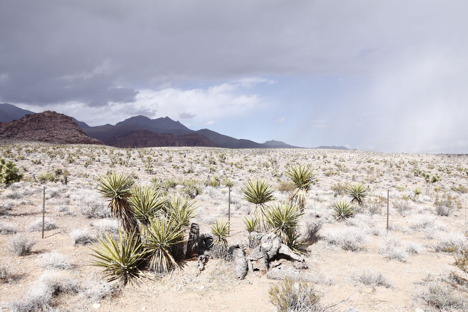 Canon EOS 80D sample photo. Desert, cloudy sky, cloudy photography