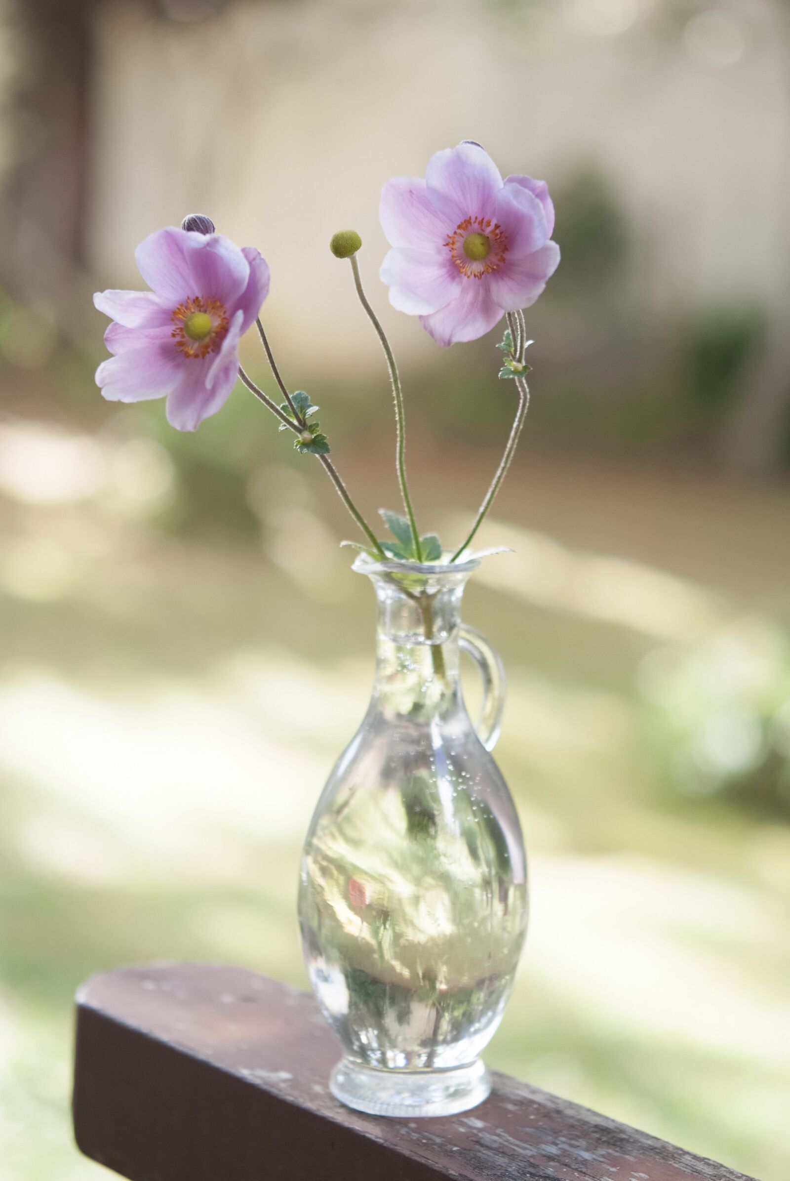 Fujifilm FinePix S5 Pro sample photo. Glass, vase, flowers photography