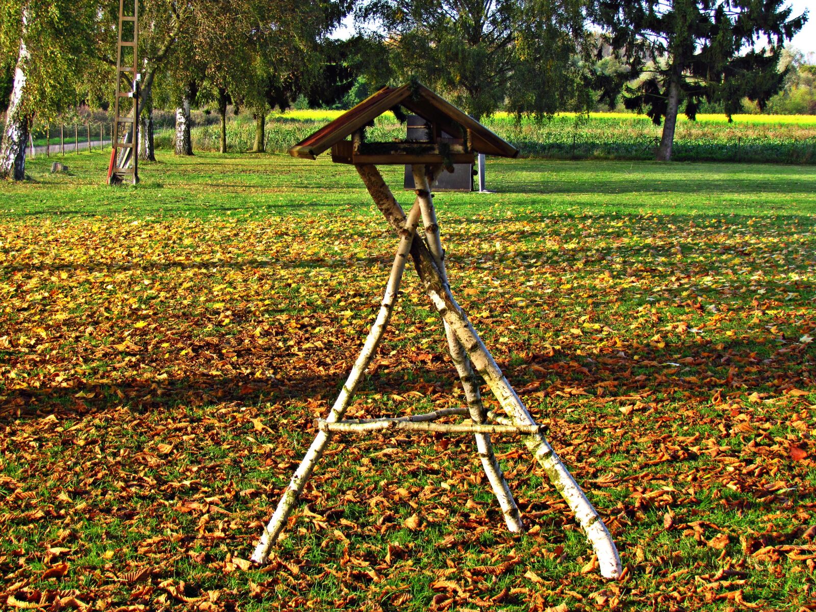 Canon PowerShot SX30 IS sample photo. Landscape, autumn, autumn gold photography
