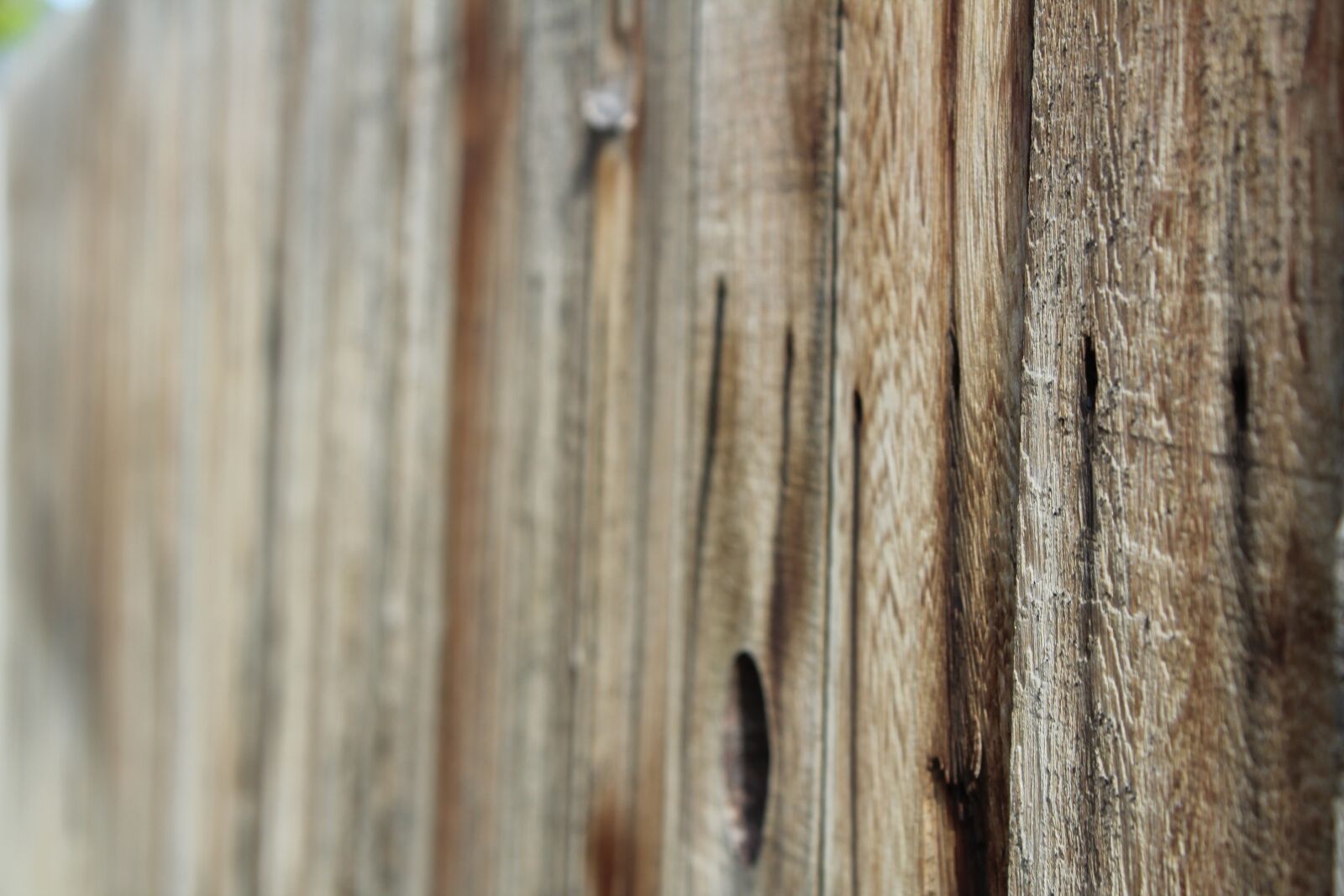 Canon EOS 1200D (EOS Rebel T5 / EOS Kiss X70 / EOS Hi) sample photo. Wood, fence, background photography