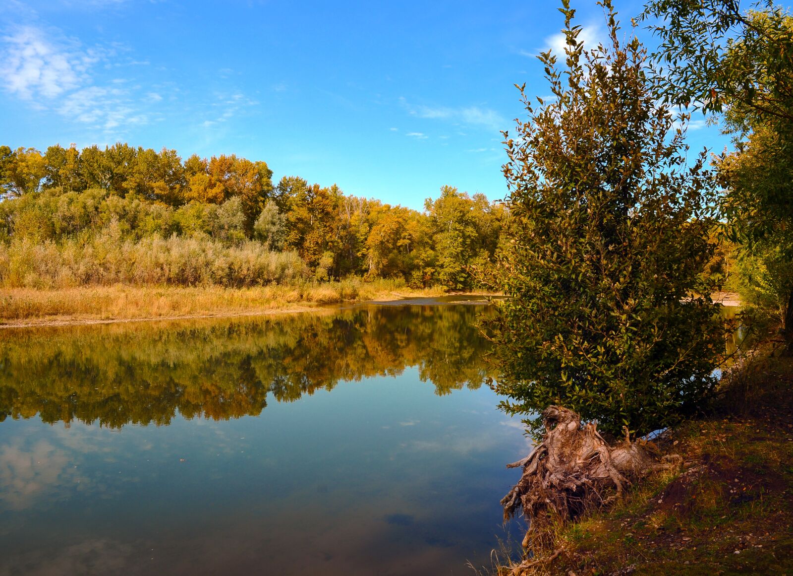 Nikon D5000 sample photo. Autumn, landscape, river photography