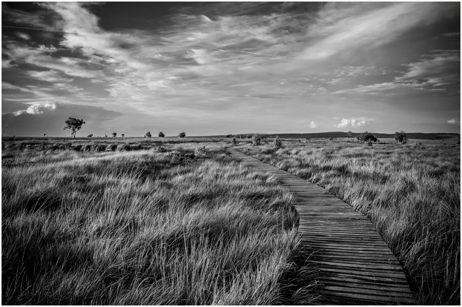 Nikon D3300 sample photo. Nature, landscape, moor photography