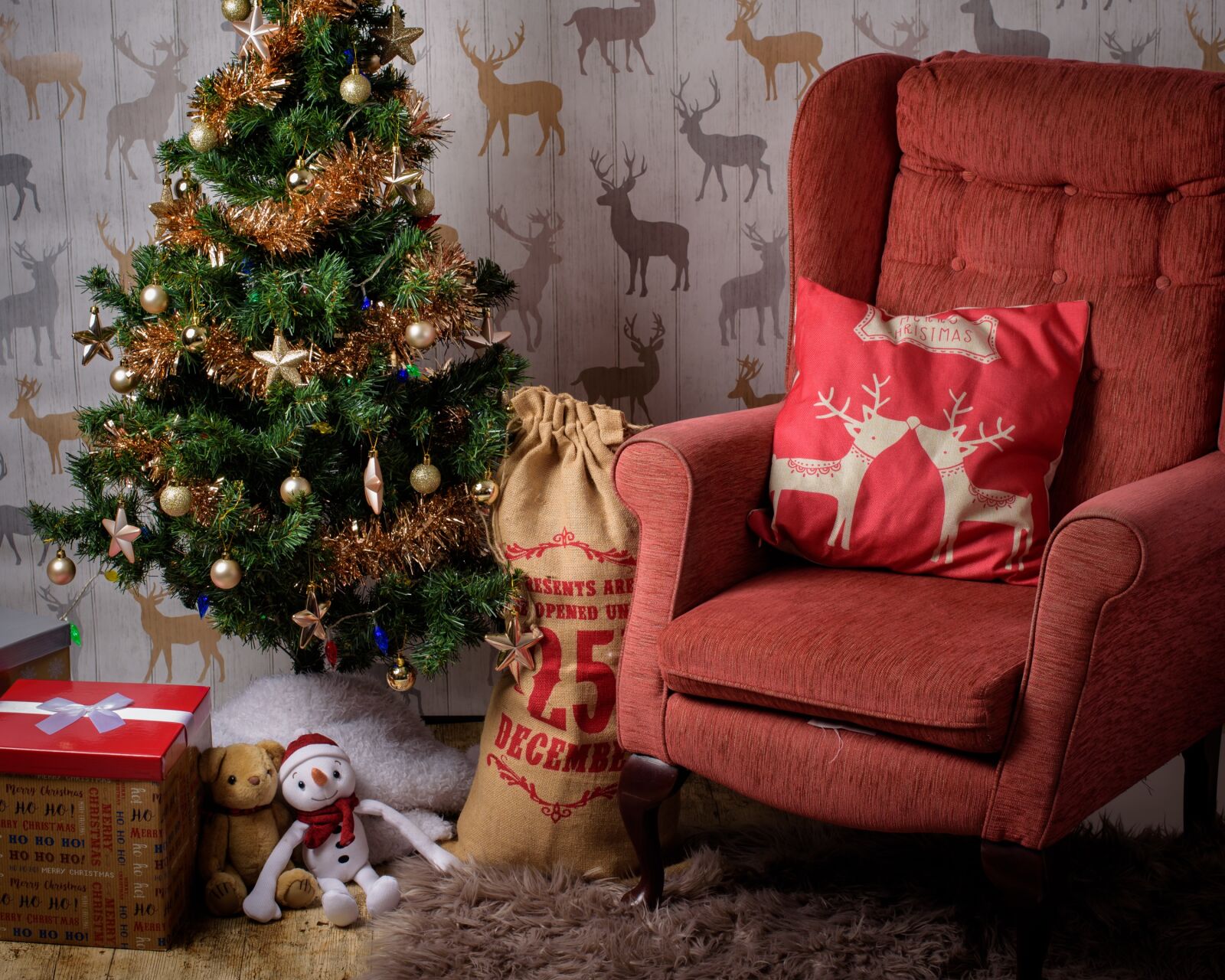 Nikon D750 sample photo. Christmas, room, chair photography