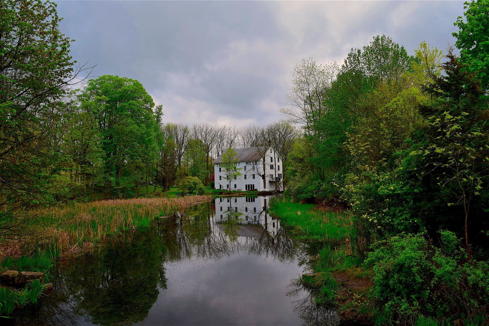Nikon D3300 sample photo. House, water, trees photography