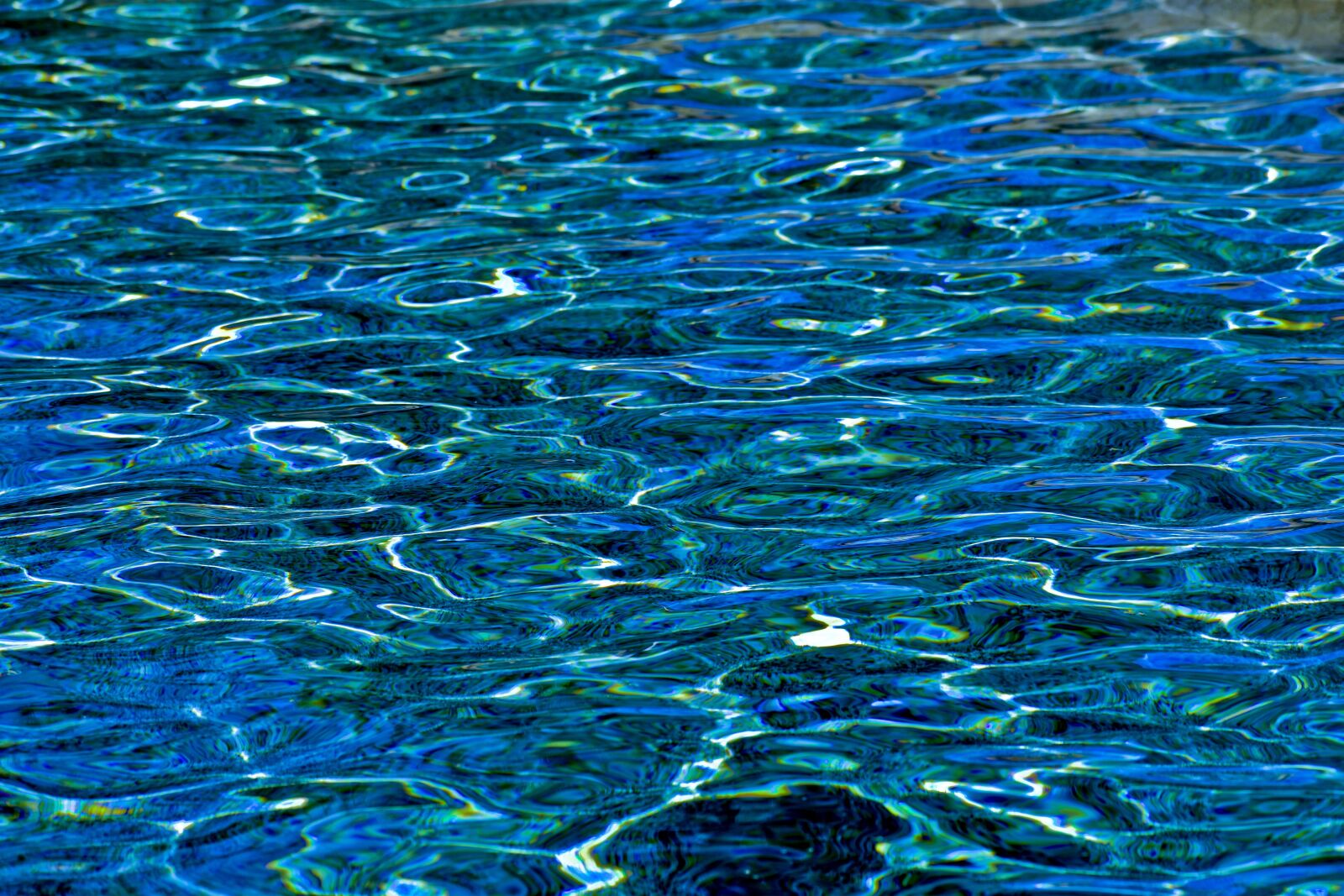 Nikon D3500 sample photo. Swimming pool, texture, background photography