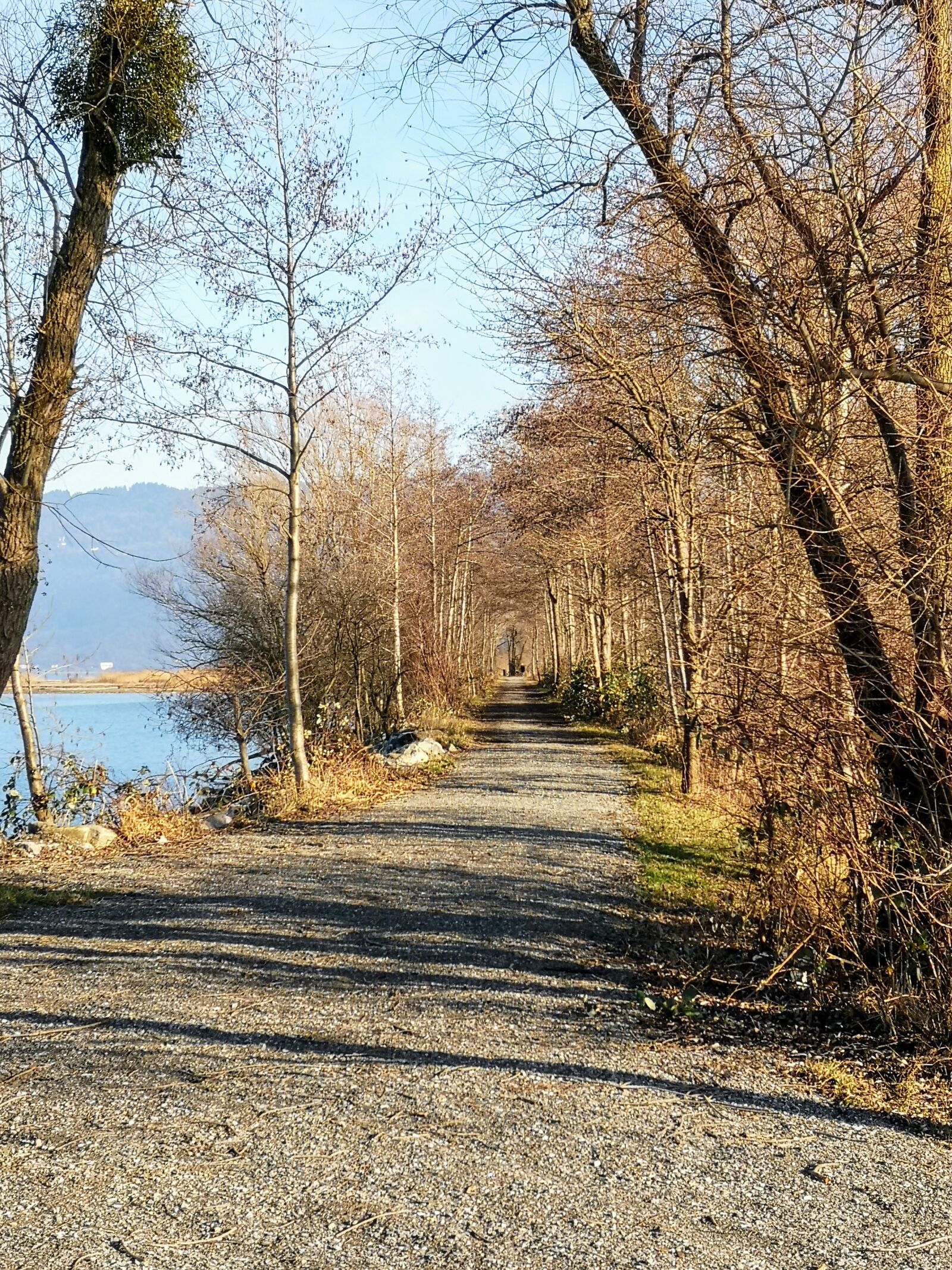 HUAWEI P20 sample photo. Bank, uferweg, winter photography