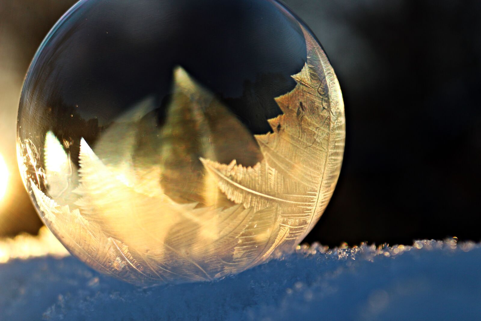 Canon EOS 100D (EOS Rebel SL1 / EOS Kiss X7) sample photo. Eiskristalle, soap bubble, frost photography