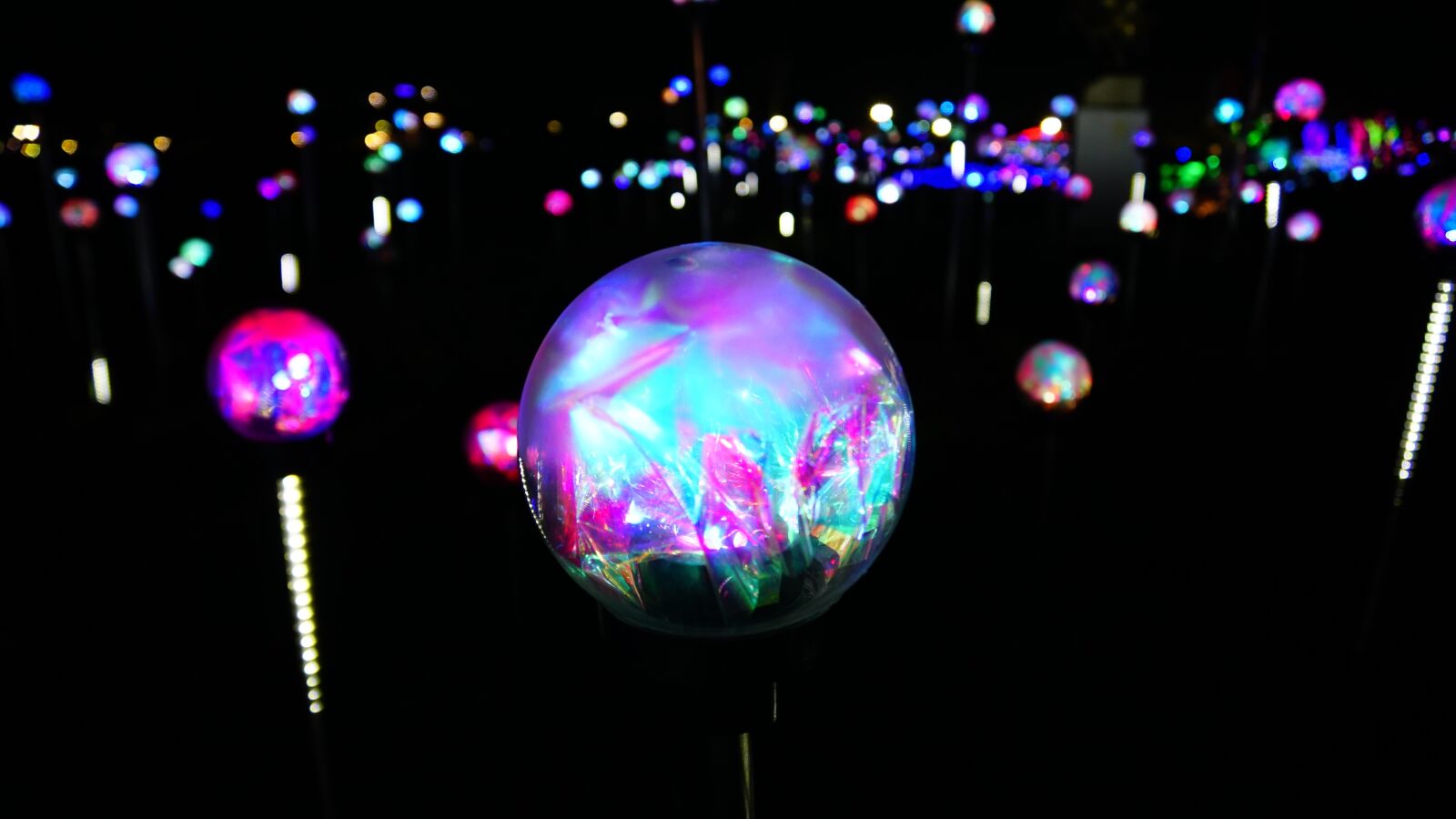 Sony ILCA-77M2 + Sony DT 16-50mm F2.8 SSM sample photo. Night view, light festival photography