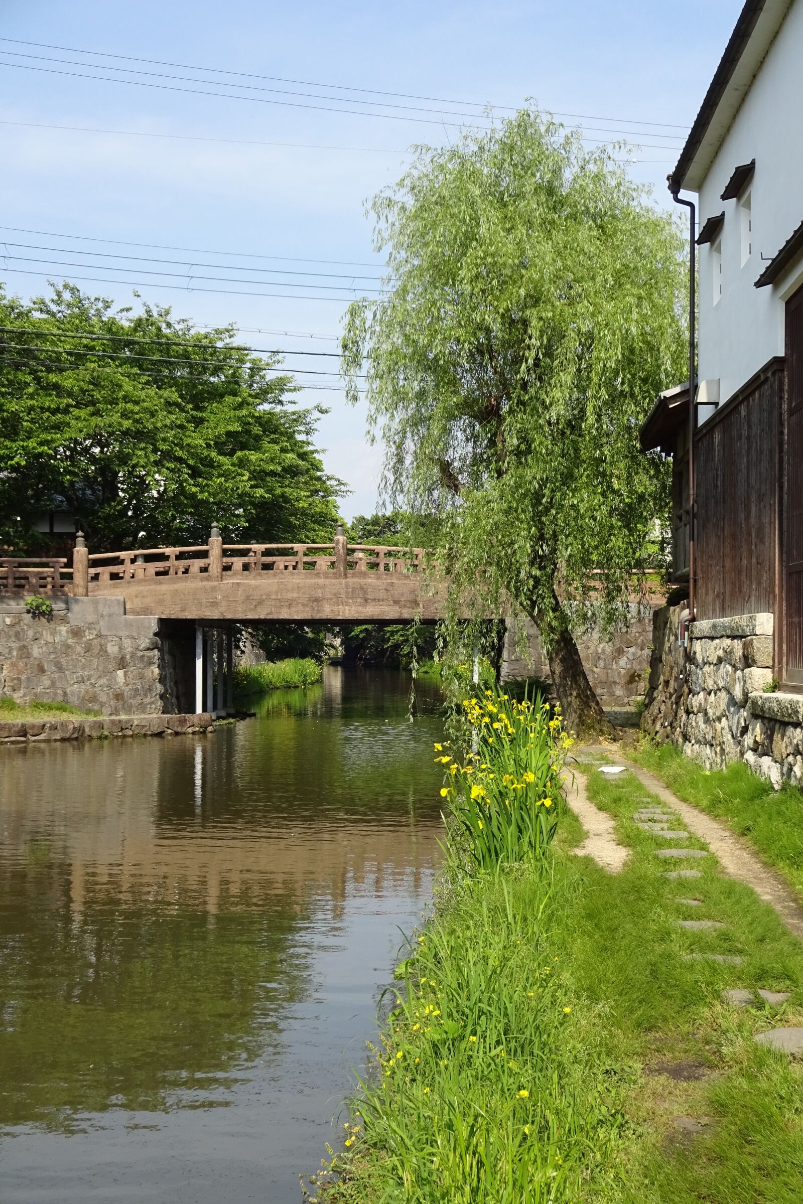 Sony Cyber-shot DSC-WX220 sample photo. In the early summer photography