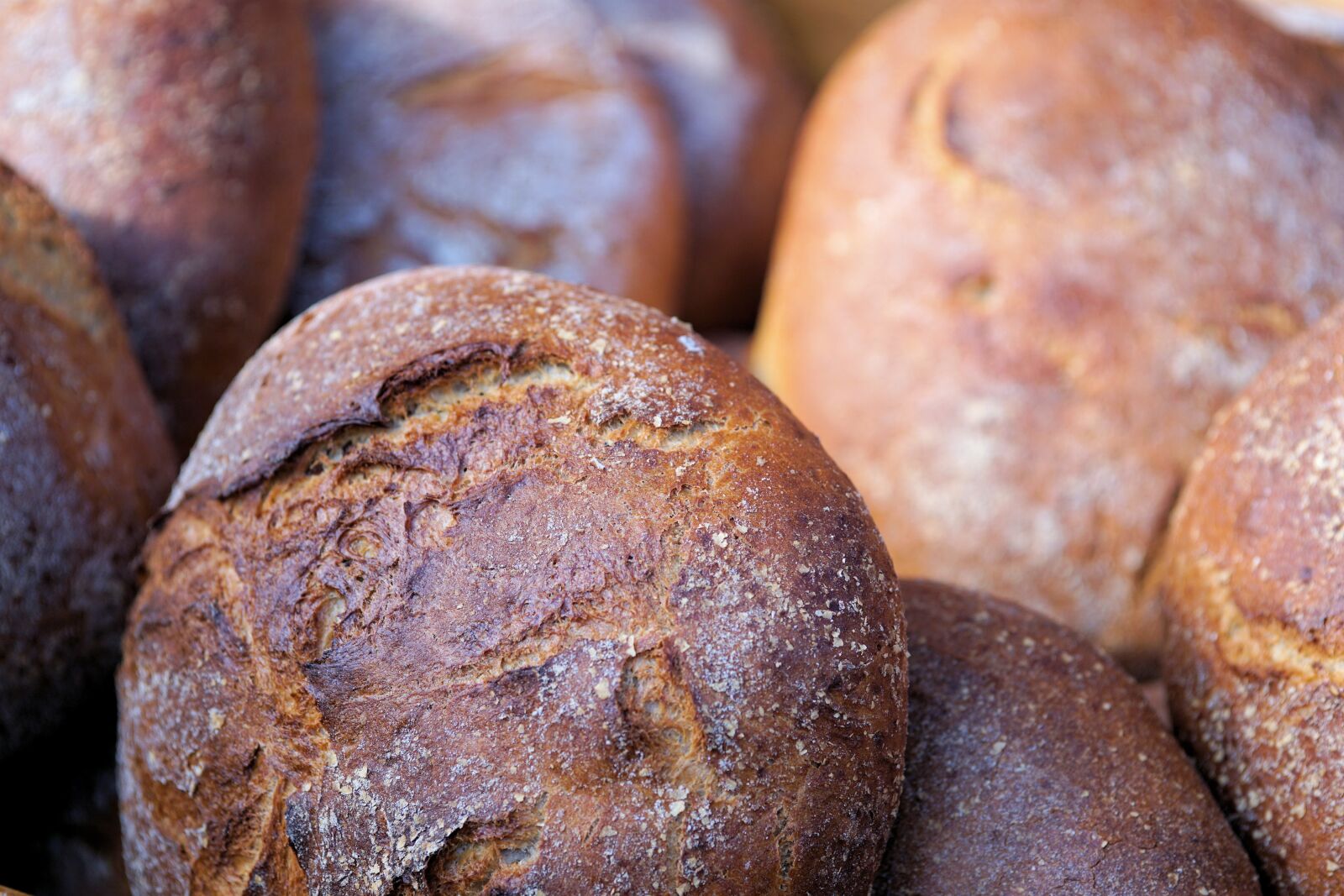 Sony a6000 sample photo. Bread, farmer's bread, bake photography