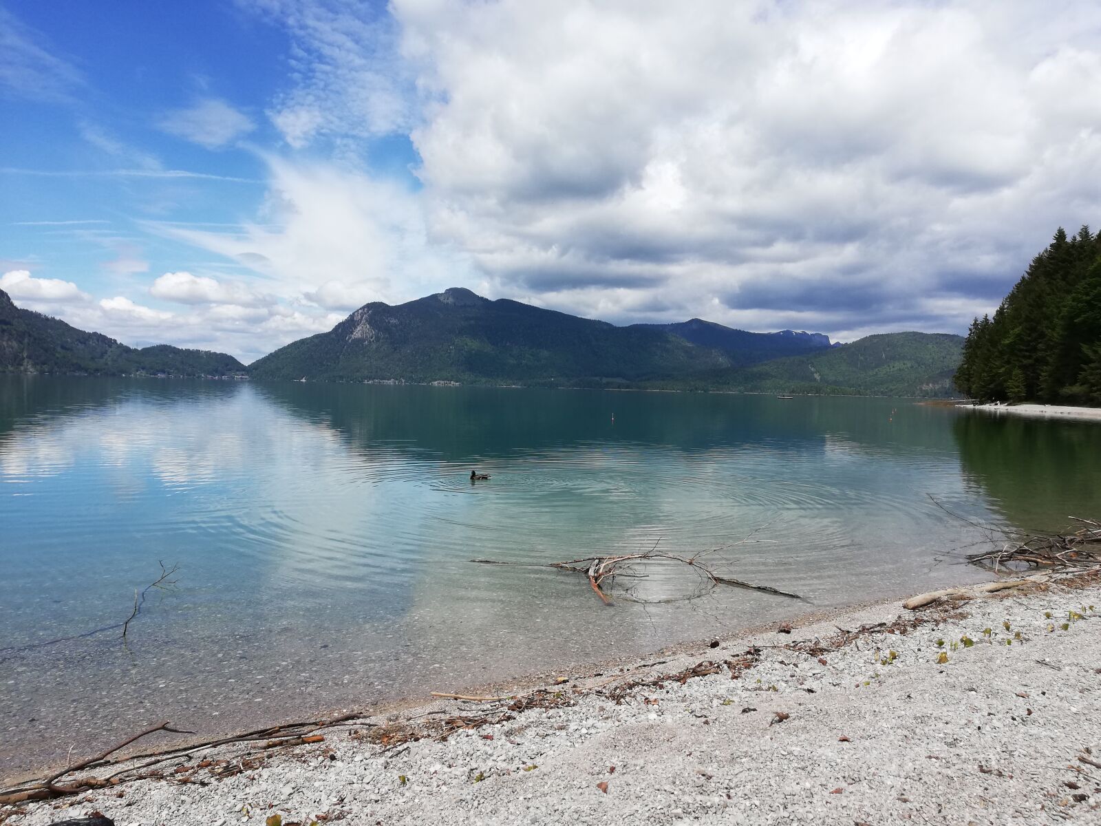 HUAWEI P20 lite sample photo. Lake, walchensee, bavaria photography