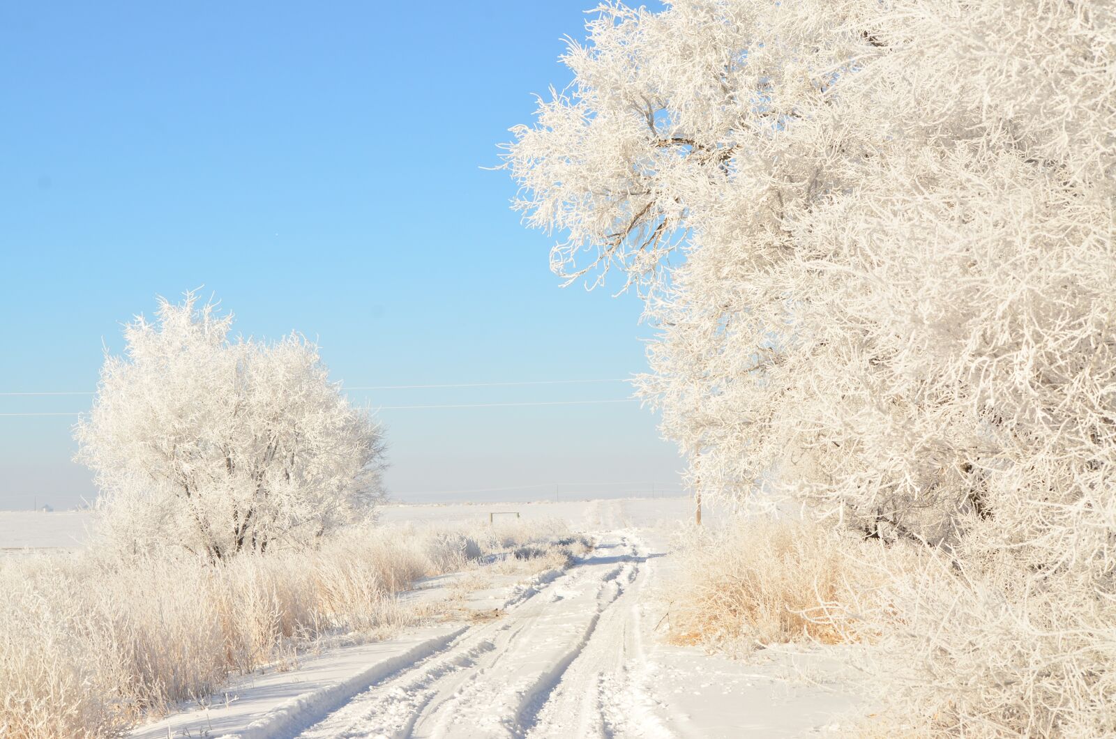 Nikon D7000 sample photo. Driveway, road, hoarfrost photography