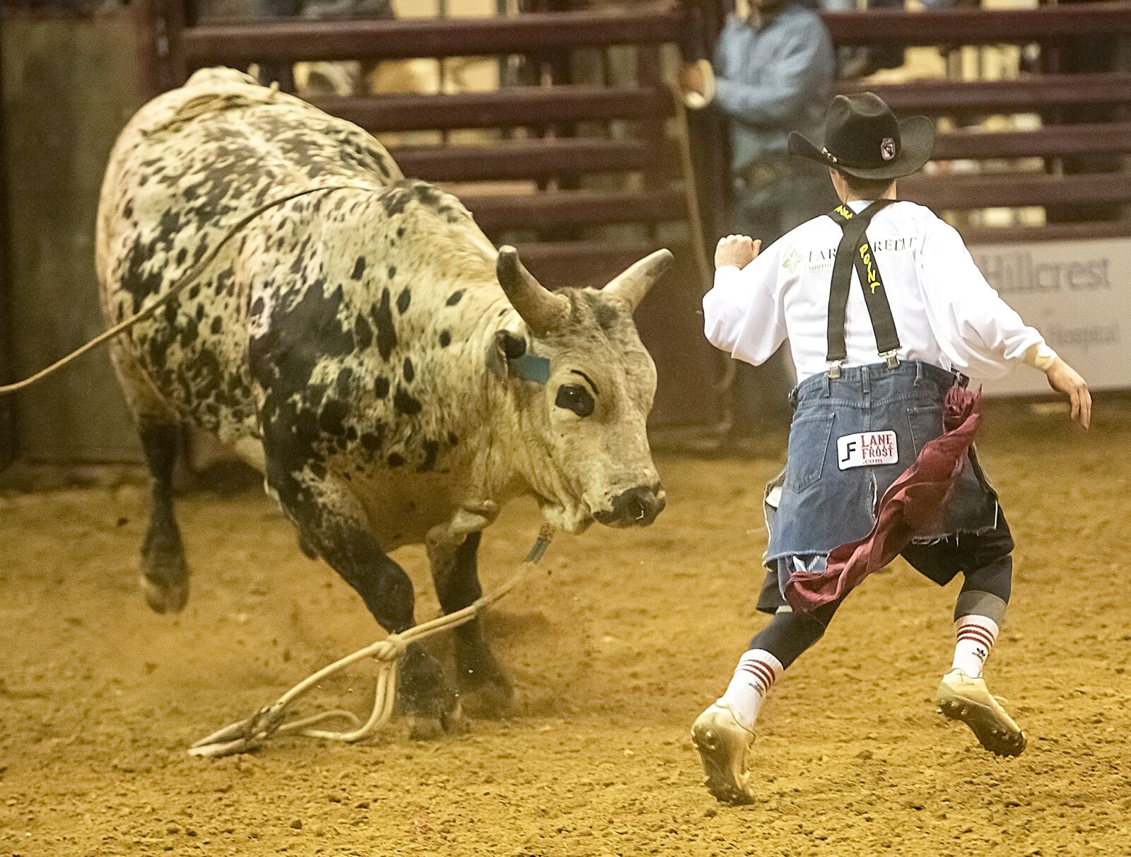 Nikon D850 sample photo. Bull, rodeo, cowboy photography