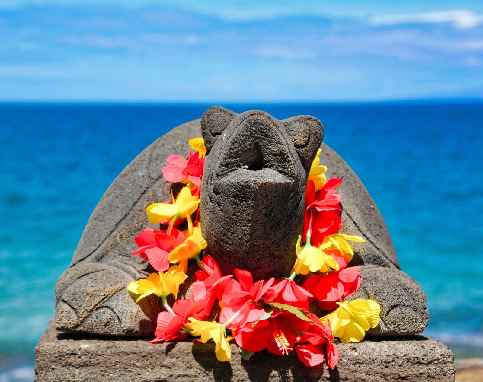 Canon EOS 1200D (EOS Rebel T5 / EOS Kiss X70 / EOS Hi) sample photo. Turtle, hawaii, sea photography