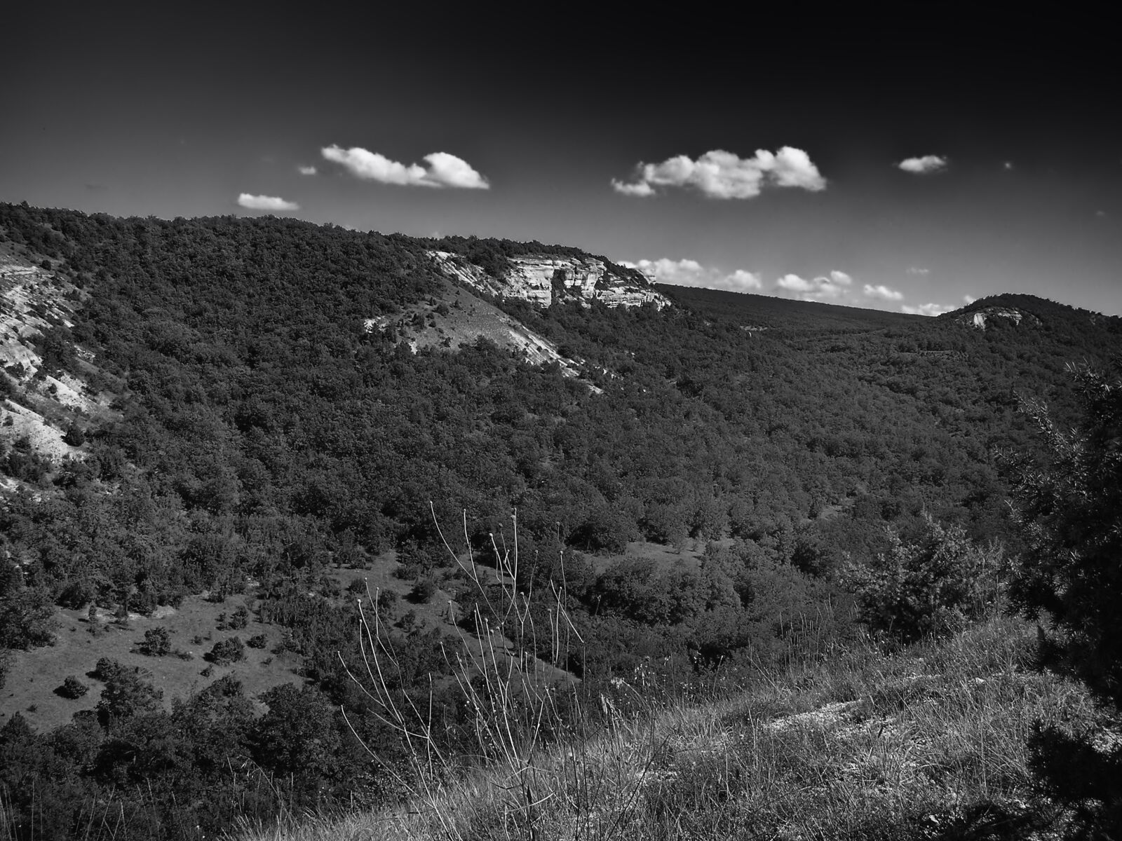 Olympus FE-120,X-700 sample photo. Crimea, landscape, mountains photography