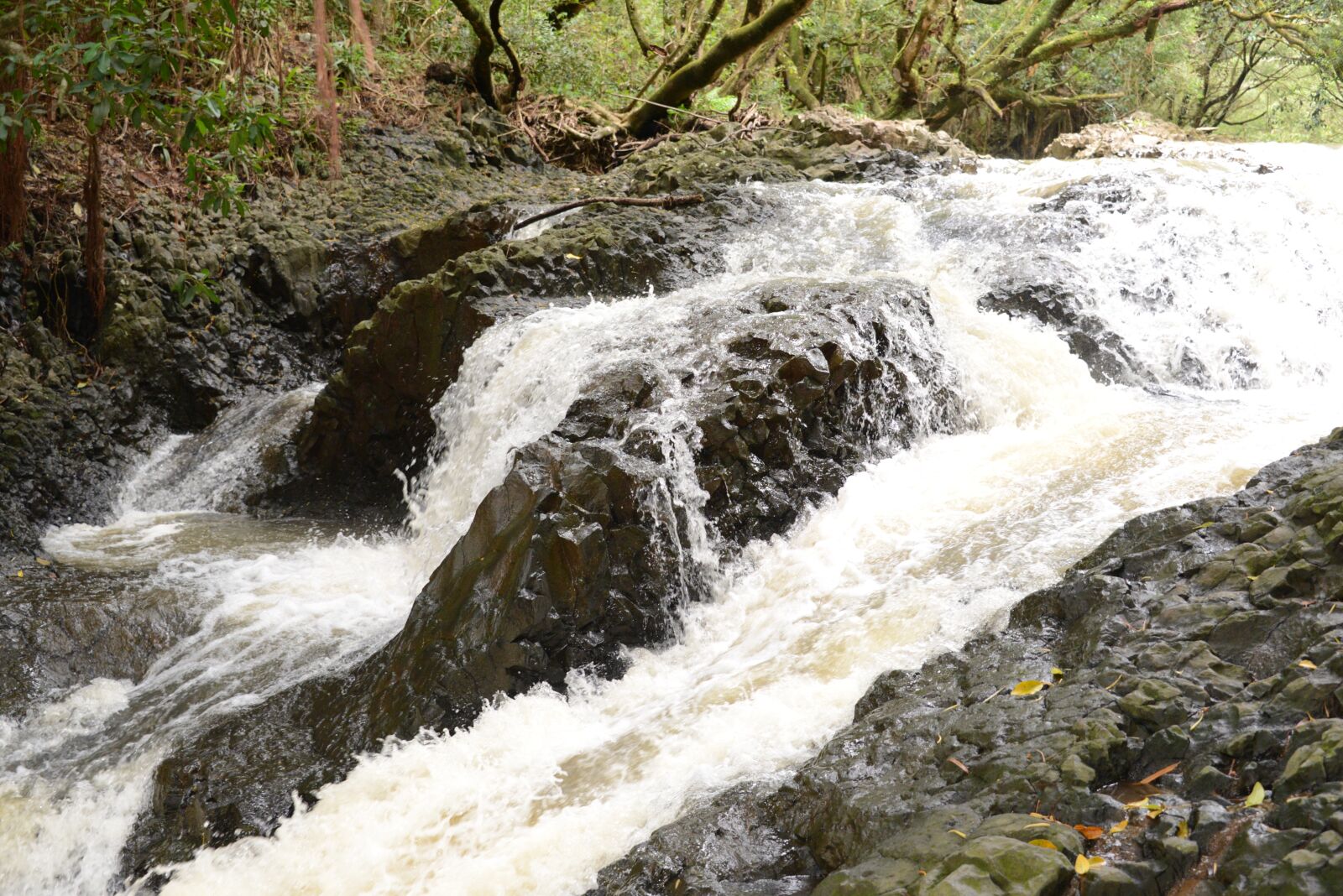 Nikon D600 sample photo. Waterfall, water, cascade photography