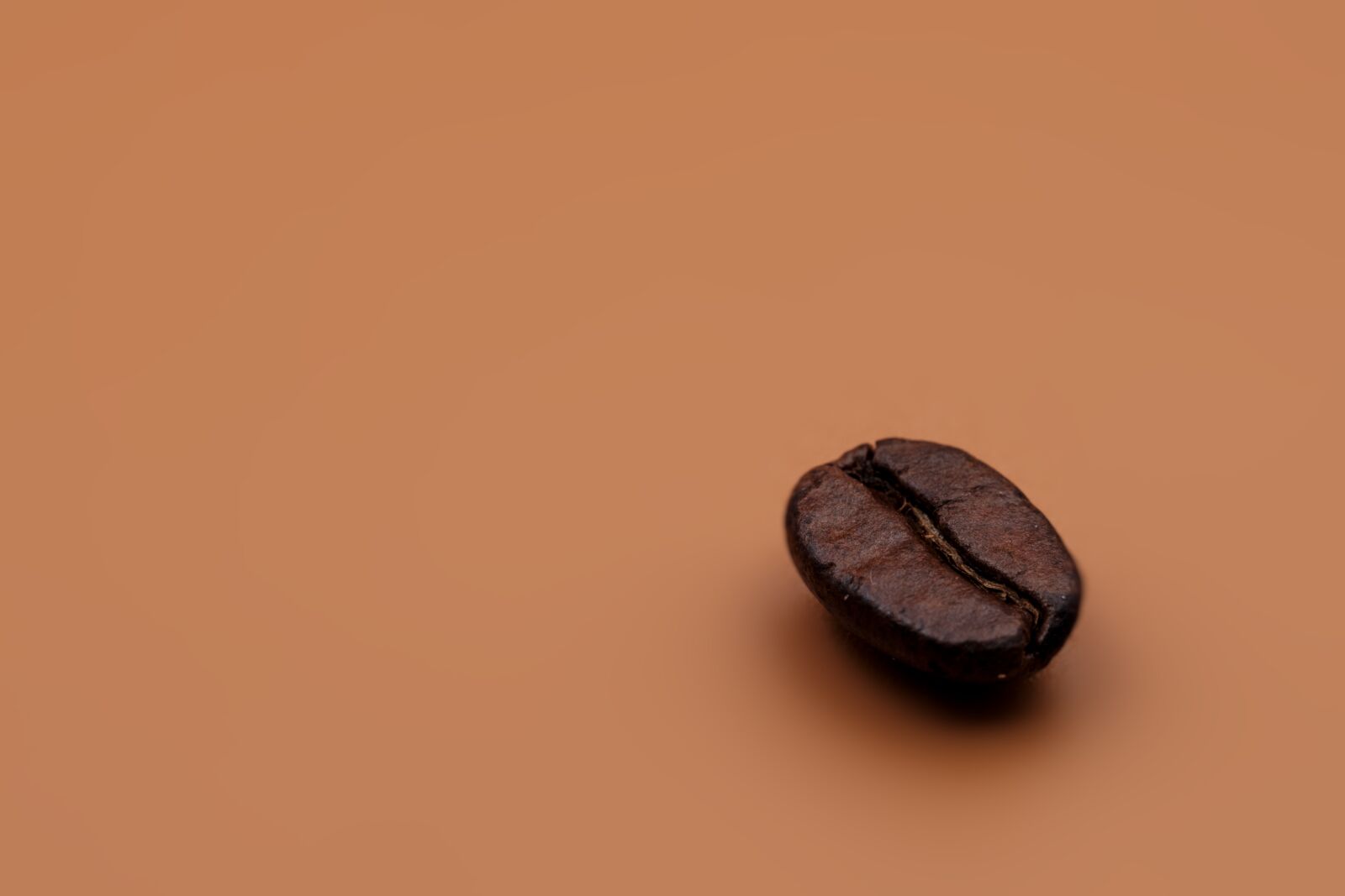 Fujifilm X-T2 + Fujifilm XF 80mm F2.8 R LM OIS WR Macro sample photo. Coffee, coffee beans, roasting photography