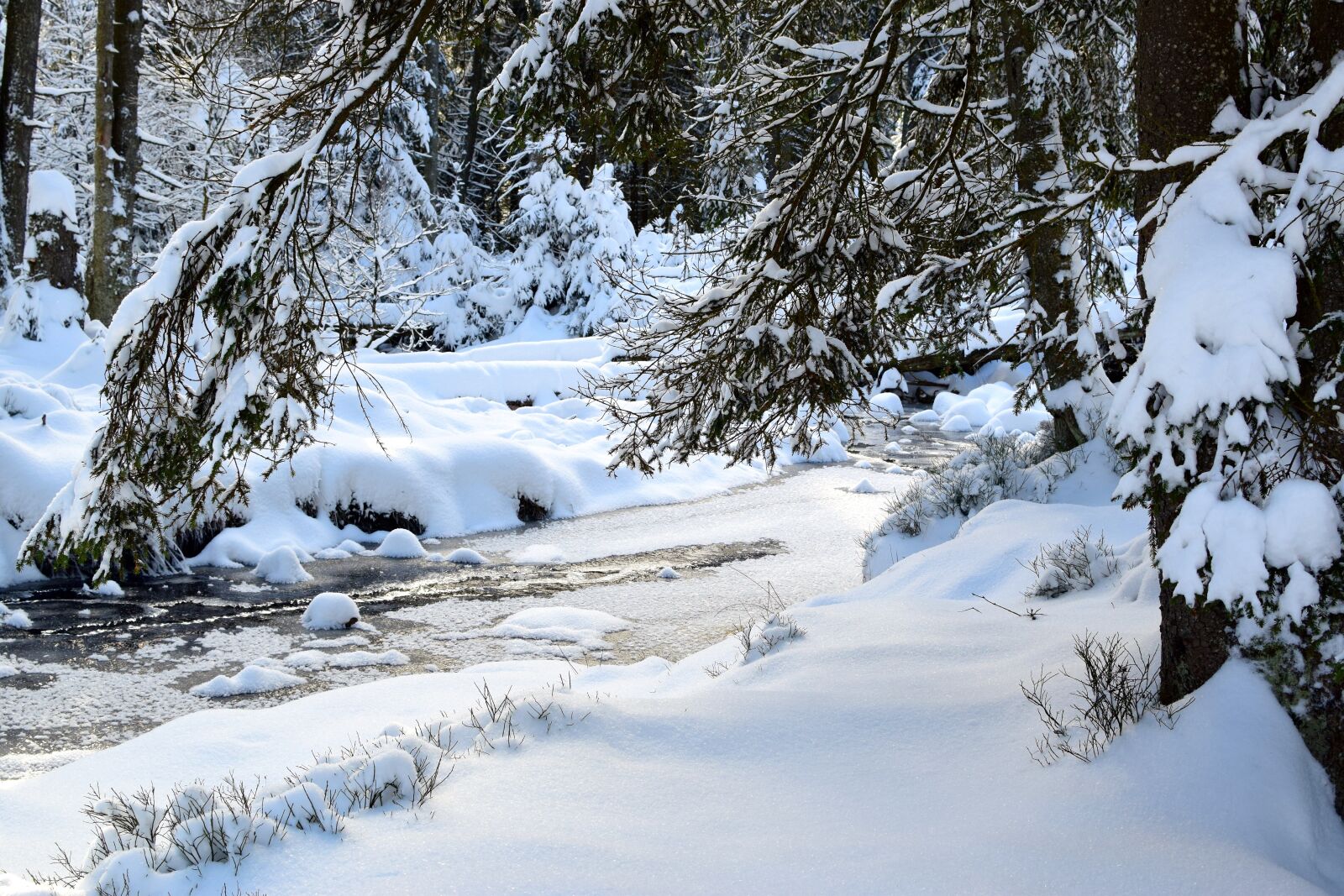 Nikon D5300 sample photo. Winter, landscape, snow photography