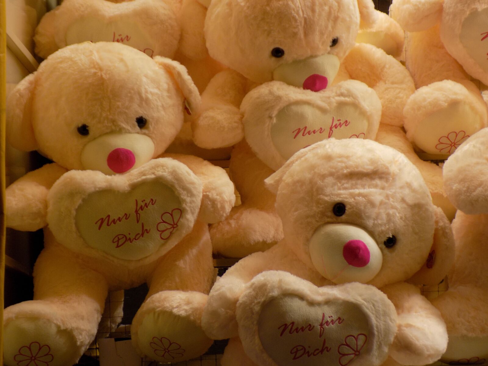 Nikon COOLPIX L340 sample photo. Teddy bears, stuffed animal photography