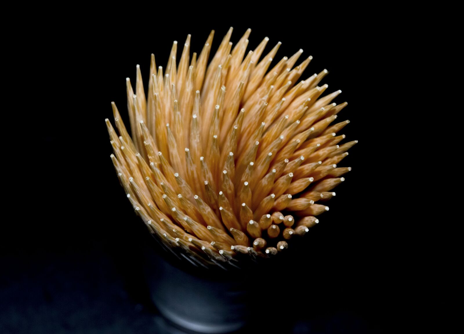 Nikon D800 sample photo. No person, invertebrates, toothpick photography
