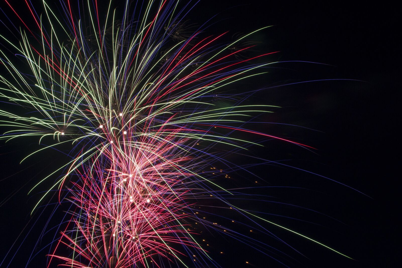 Nikon D3100 sample photo. Fireworks, fourth, july photography