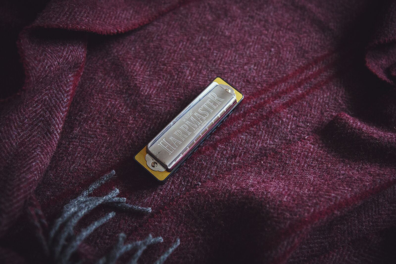 Canon EF 24-70mm F4L IS USM sample photo. Harmonica, harpmaster, instrument photography